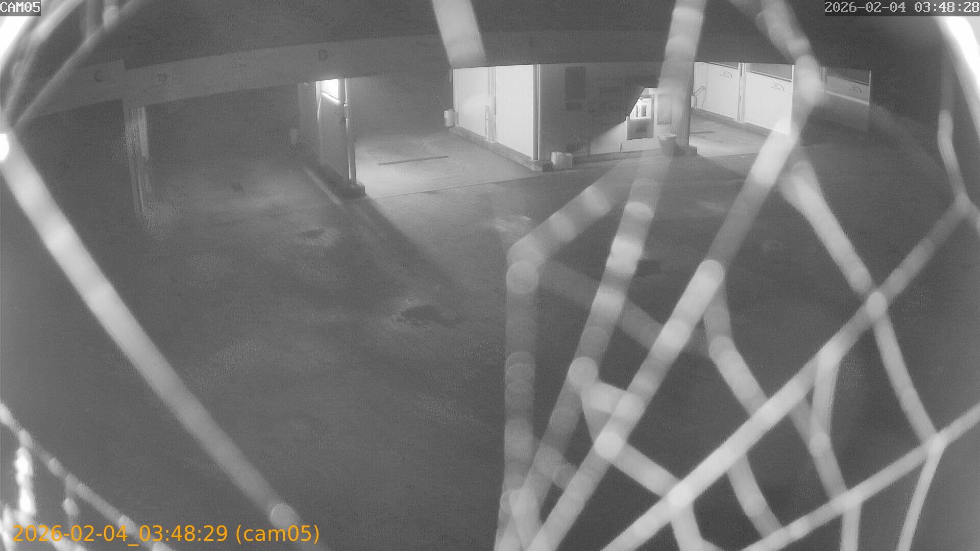 thumbnail_20260204034829