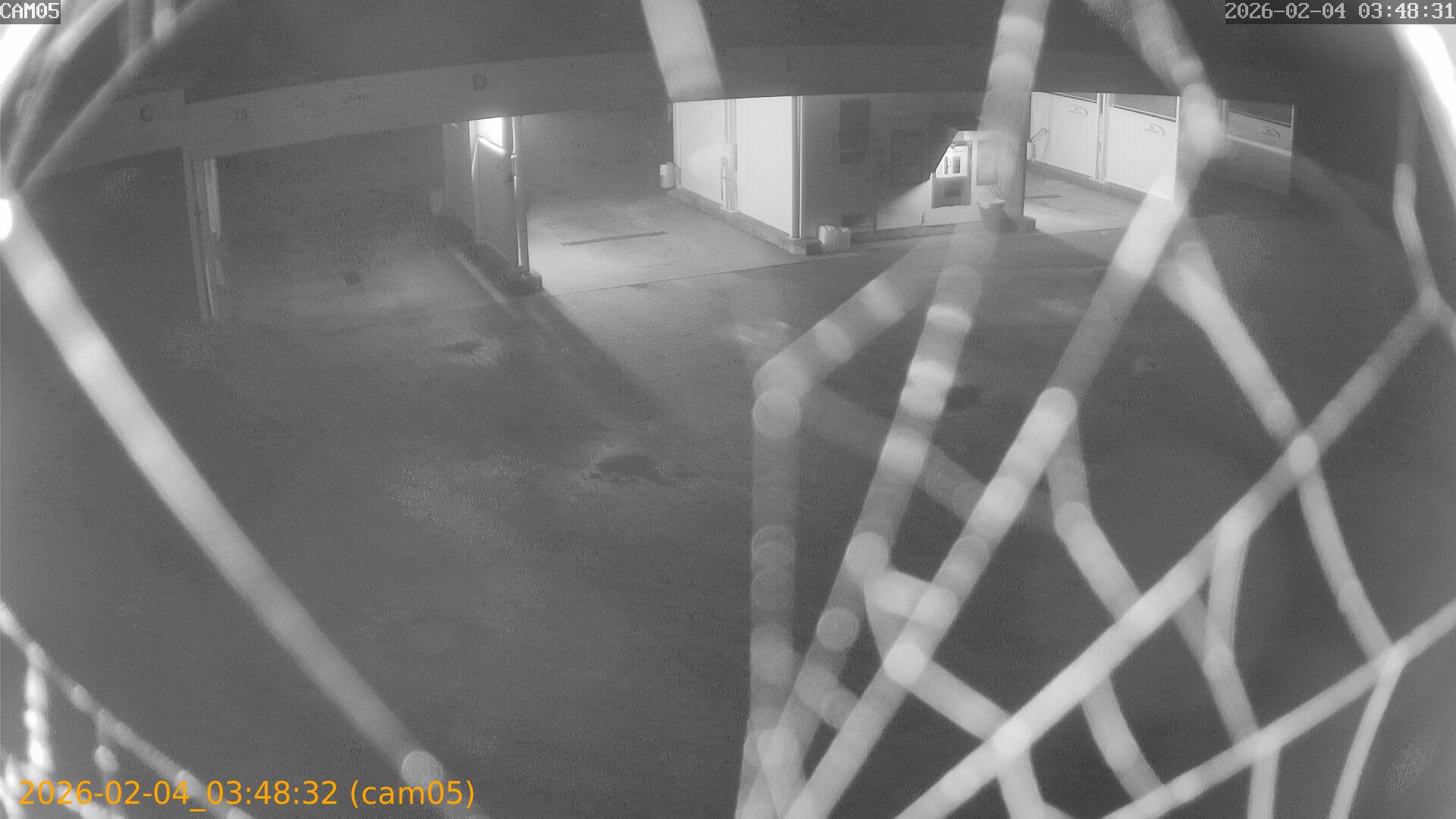 thumbnail_20260204034832