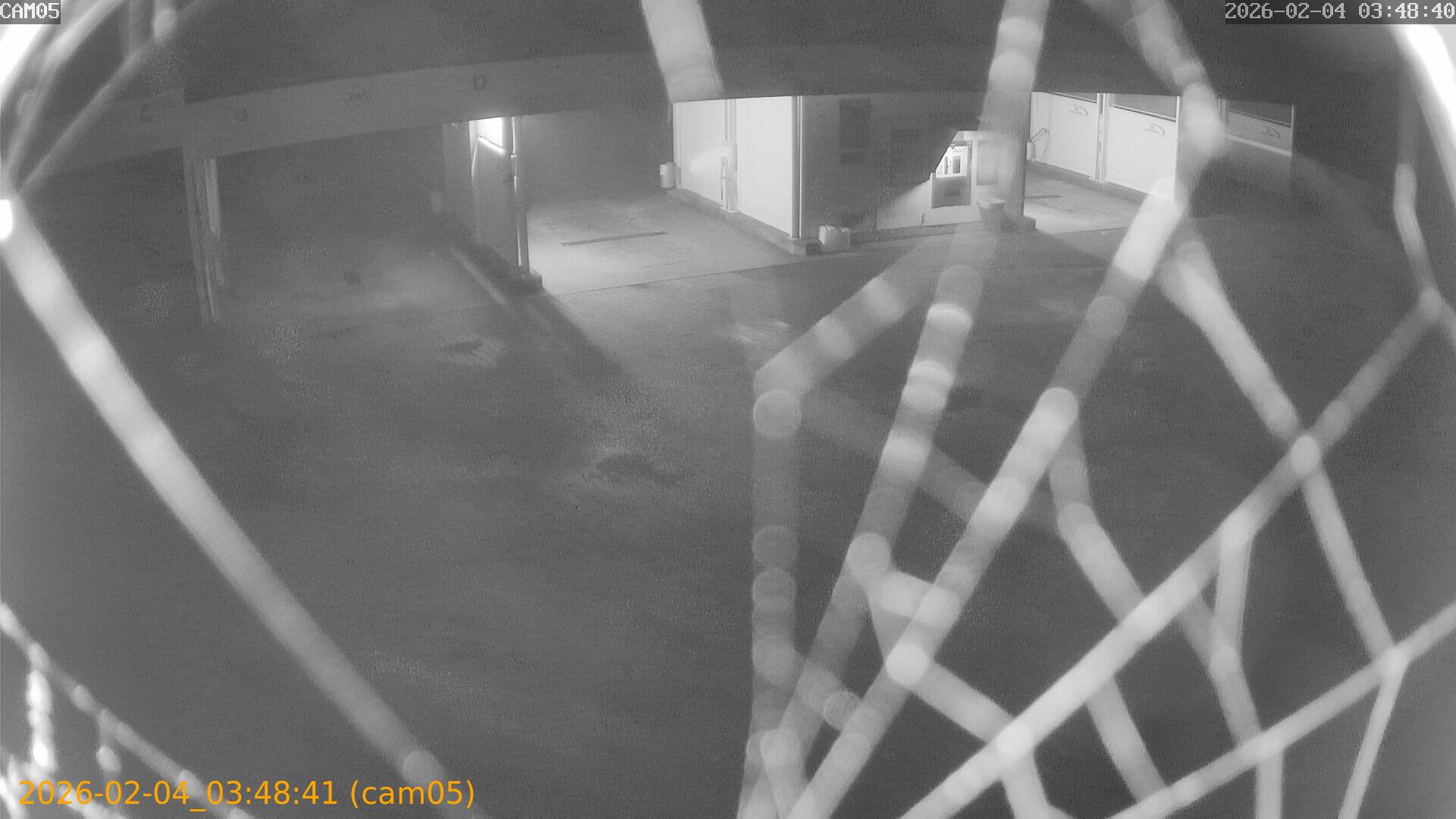 thumbnail_20260204034841