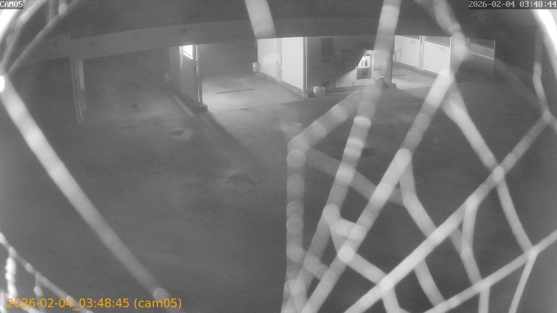 thumbnail_20260204034845