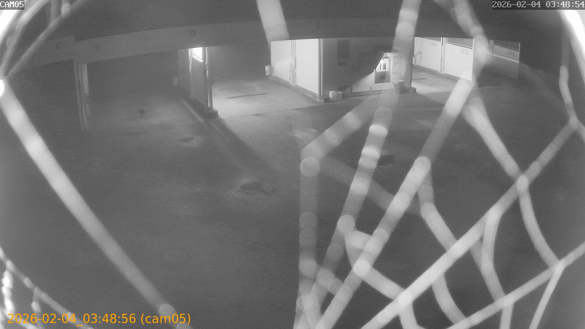 thumbnail_20260204034855