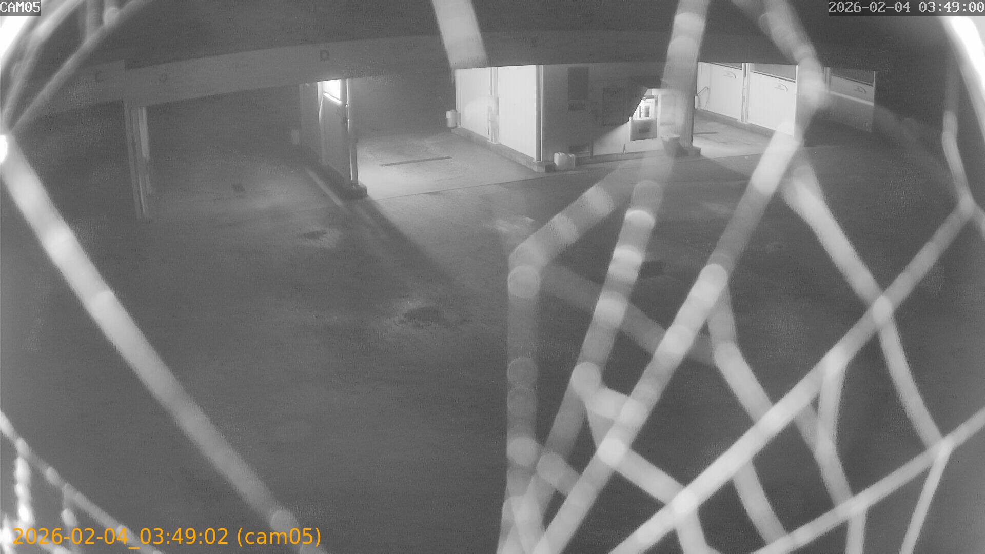 thumbnail_20260204034902