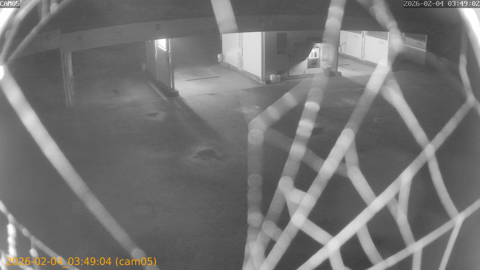 thumbnail_20260204034904