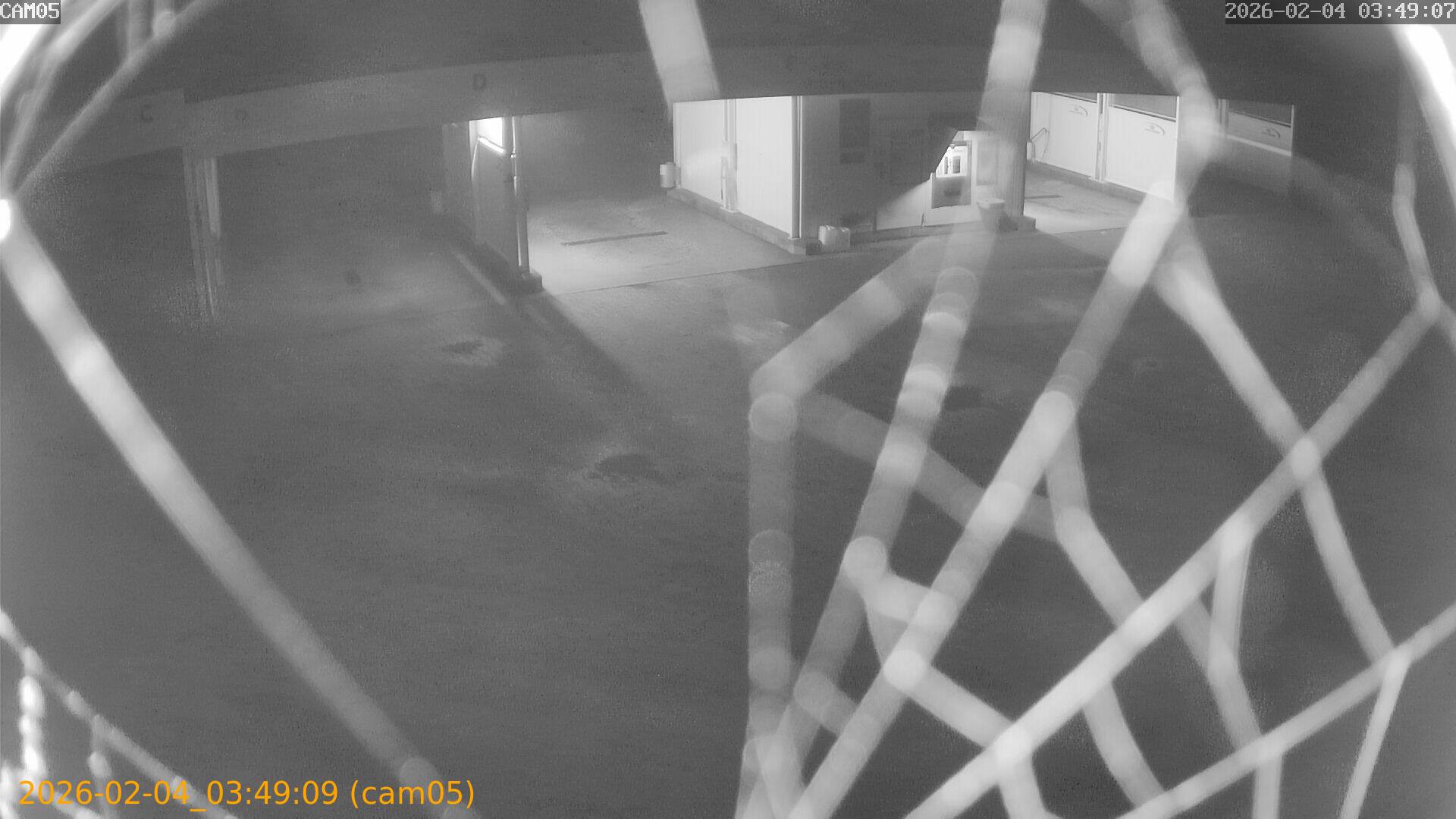 thumbnail_20260204034909