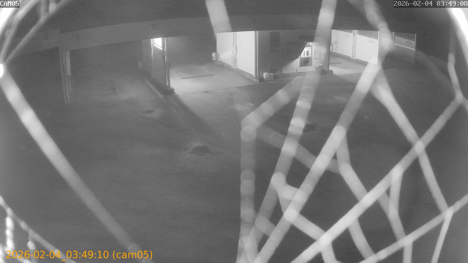 thumbnail_20260204034910