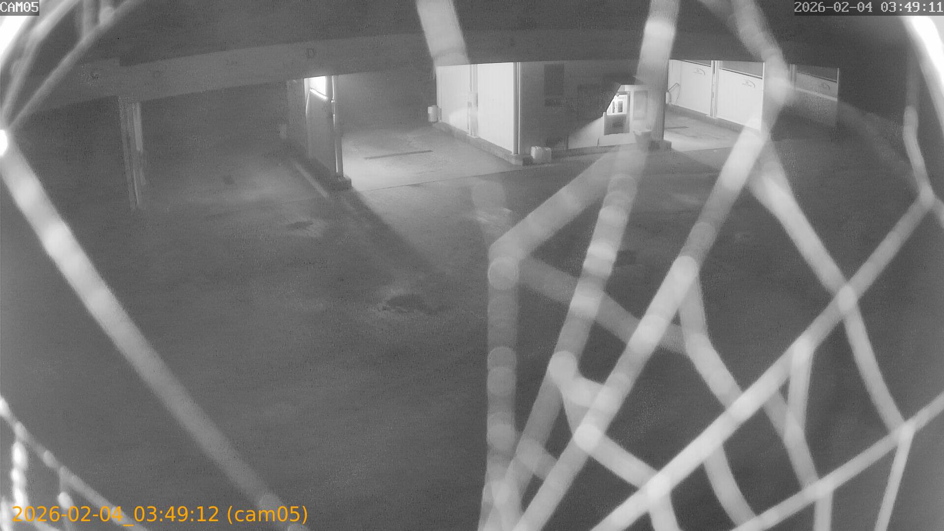 thumbnail_20260204034912