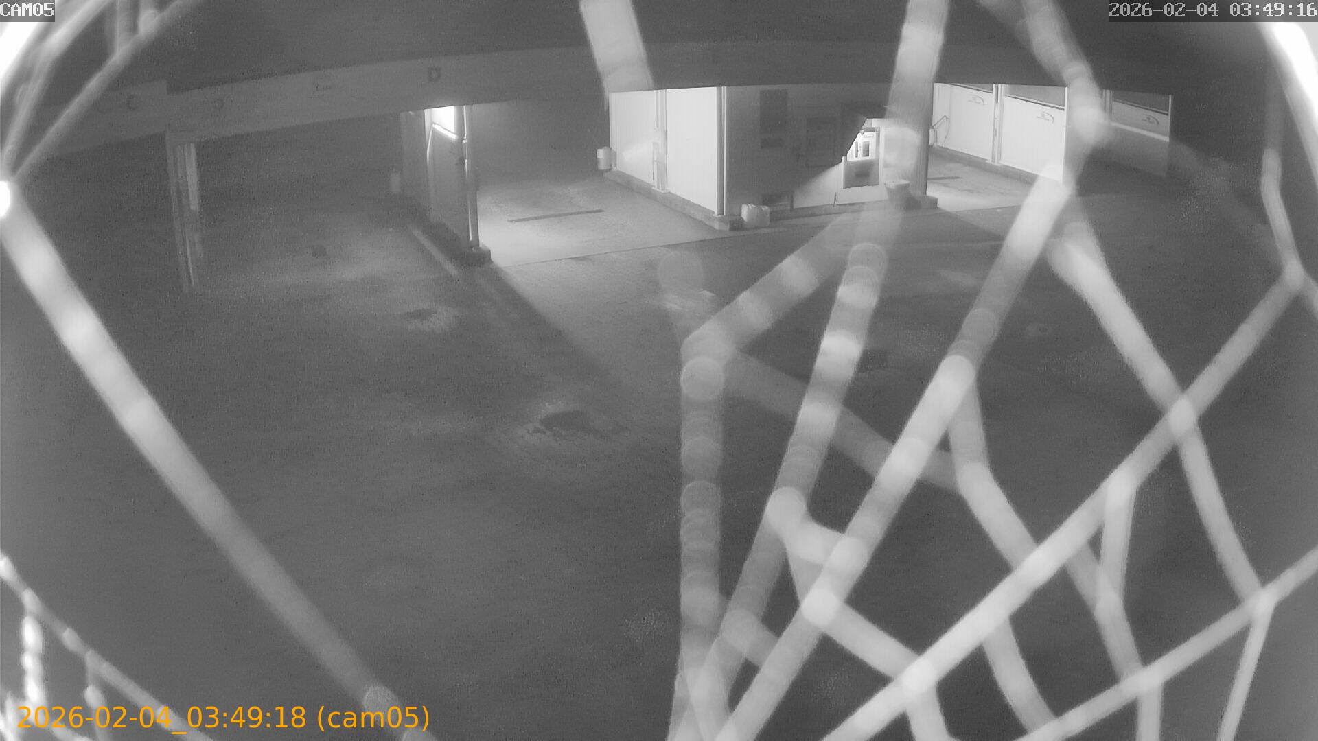 thumbnail_20260204034918