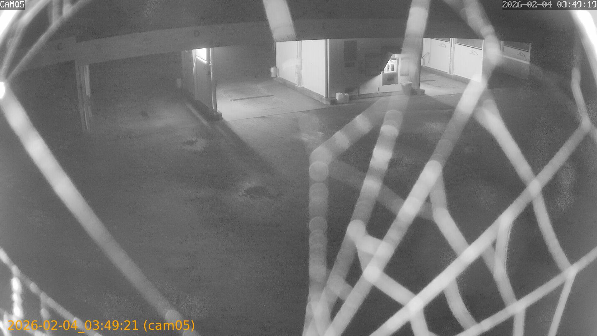 thumbnail_20260204034921