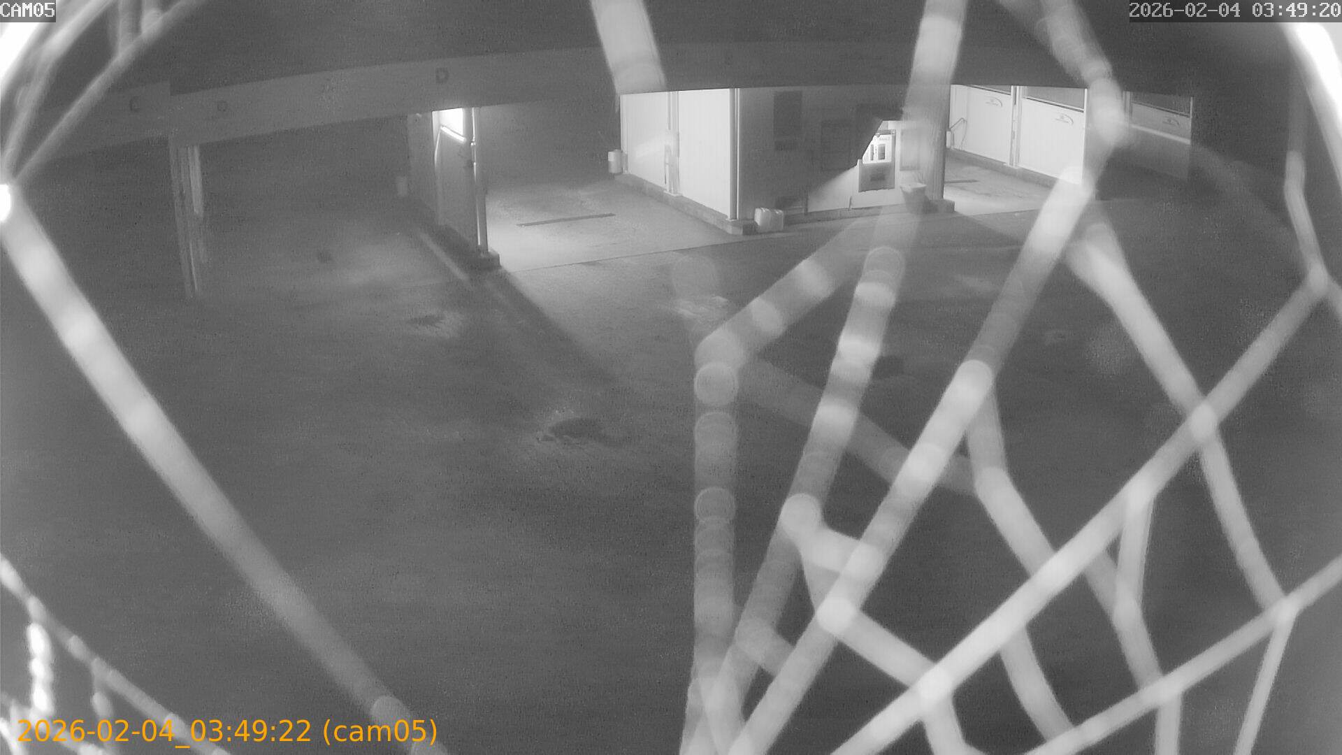 thumbnail_20260204034922