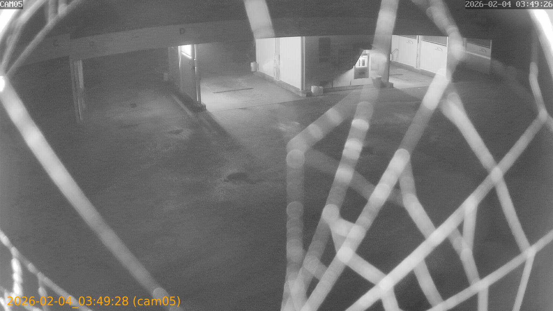 thumbnail_20260204034928