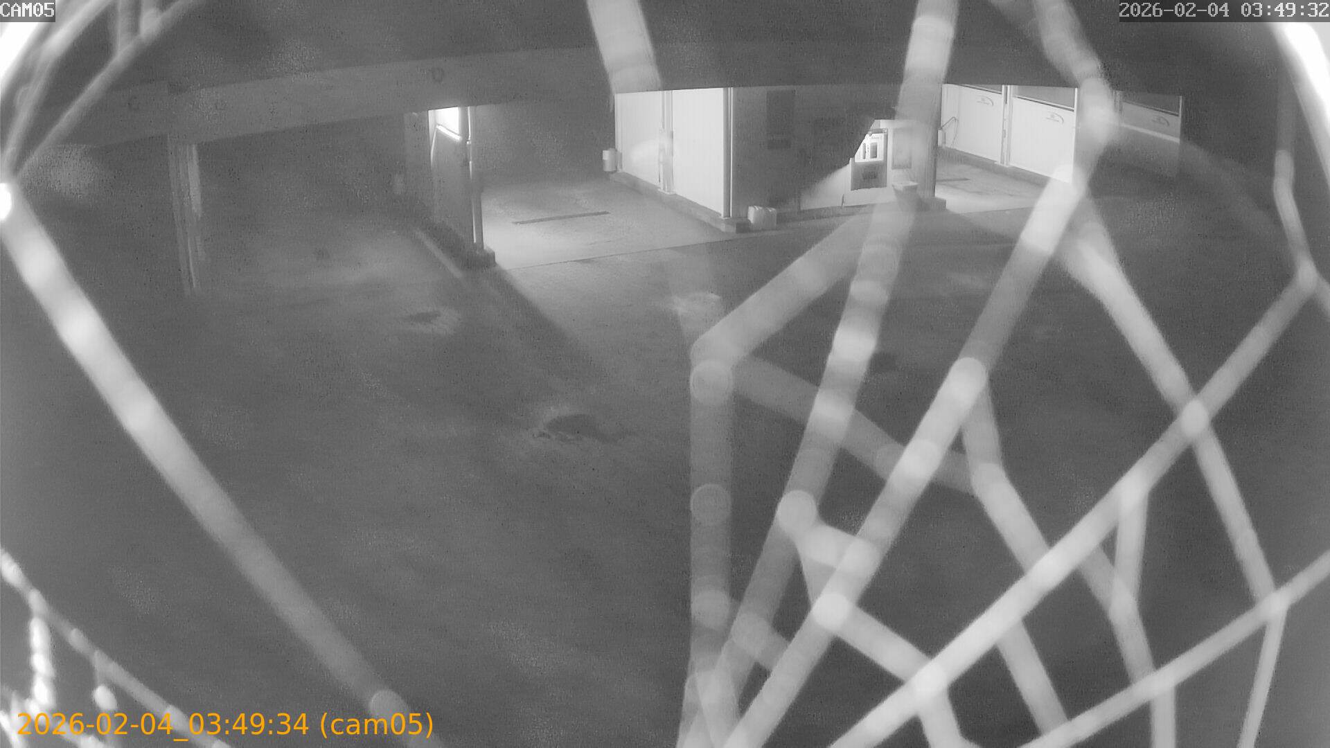 thumbnail_20260204034934