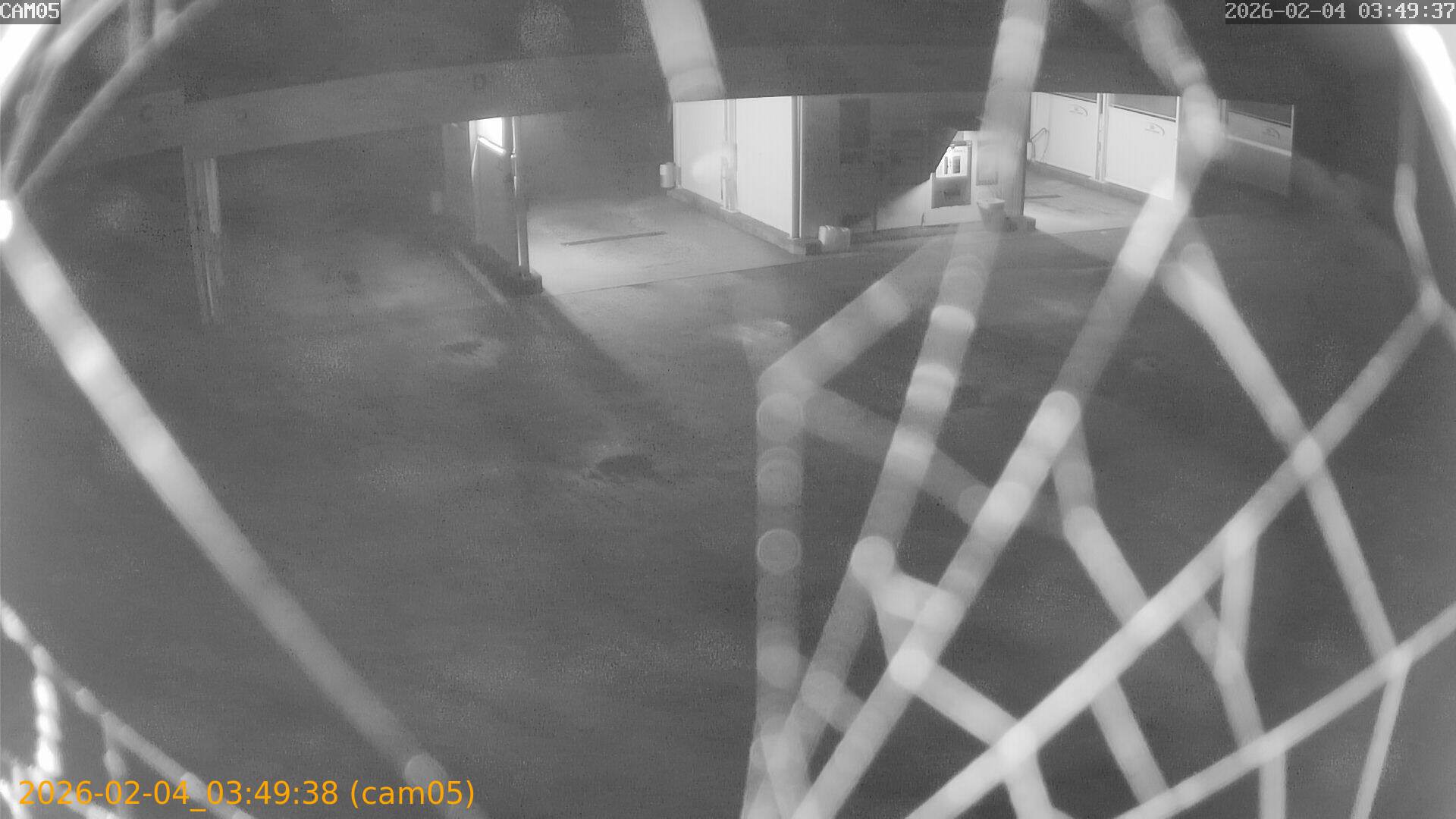 thumbnail_20260204034938