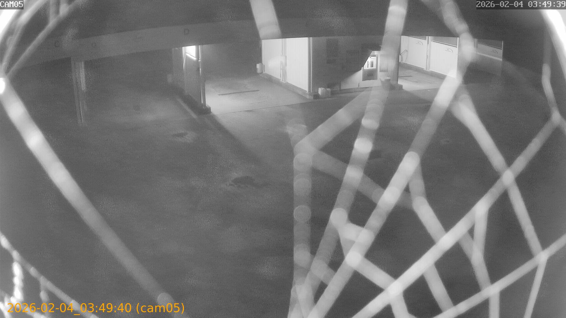 thumbnail_20260204034940