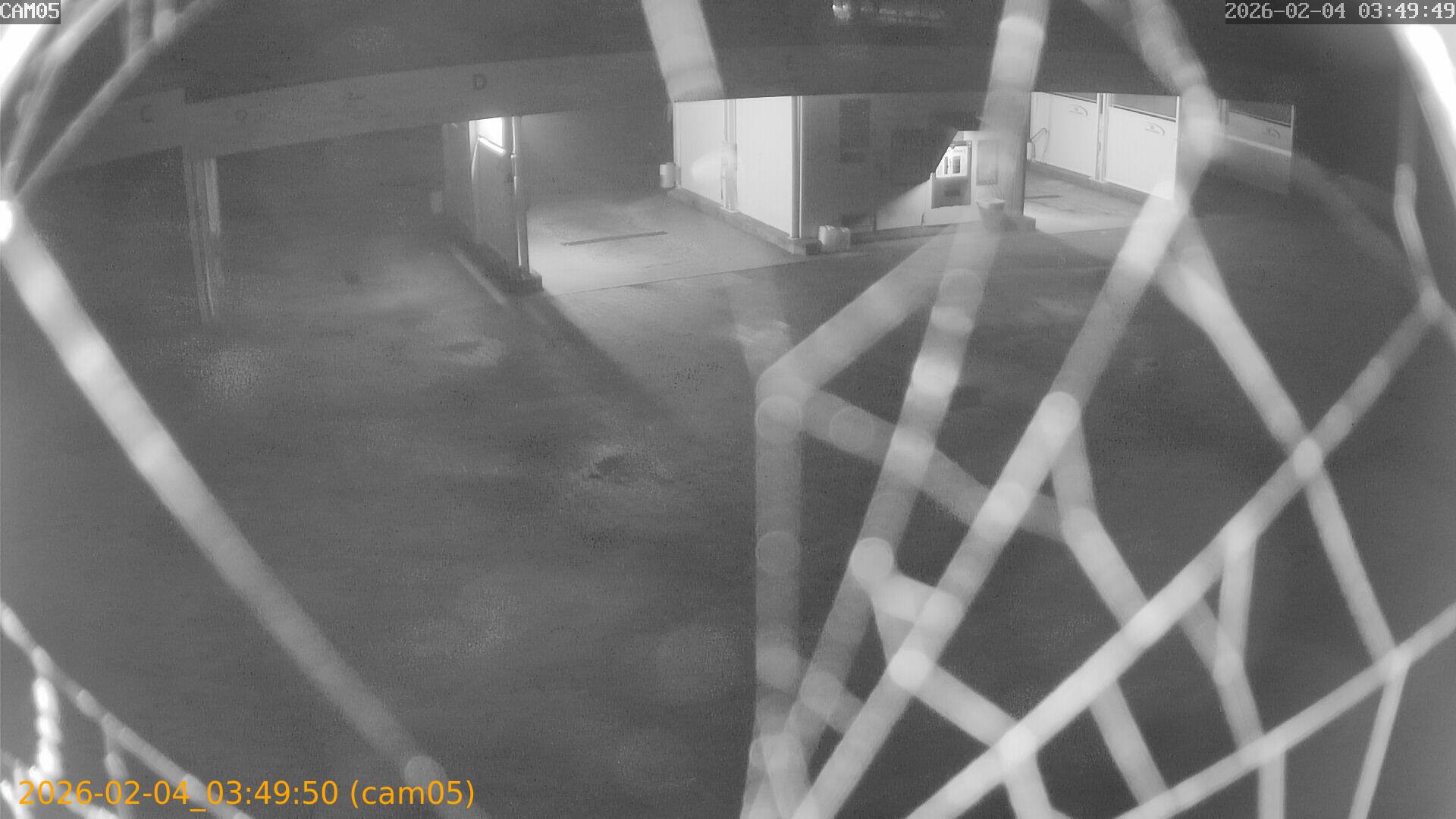 thumbnail_20260204034950