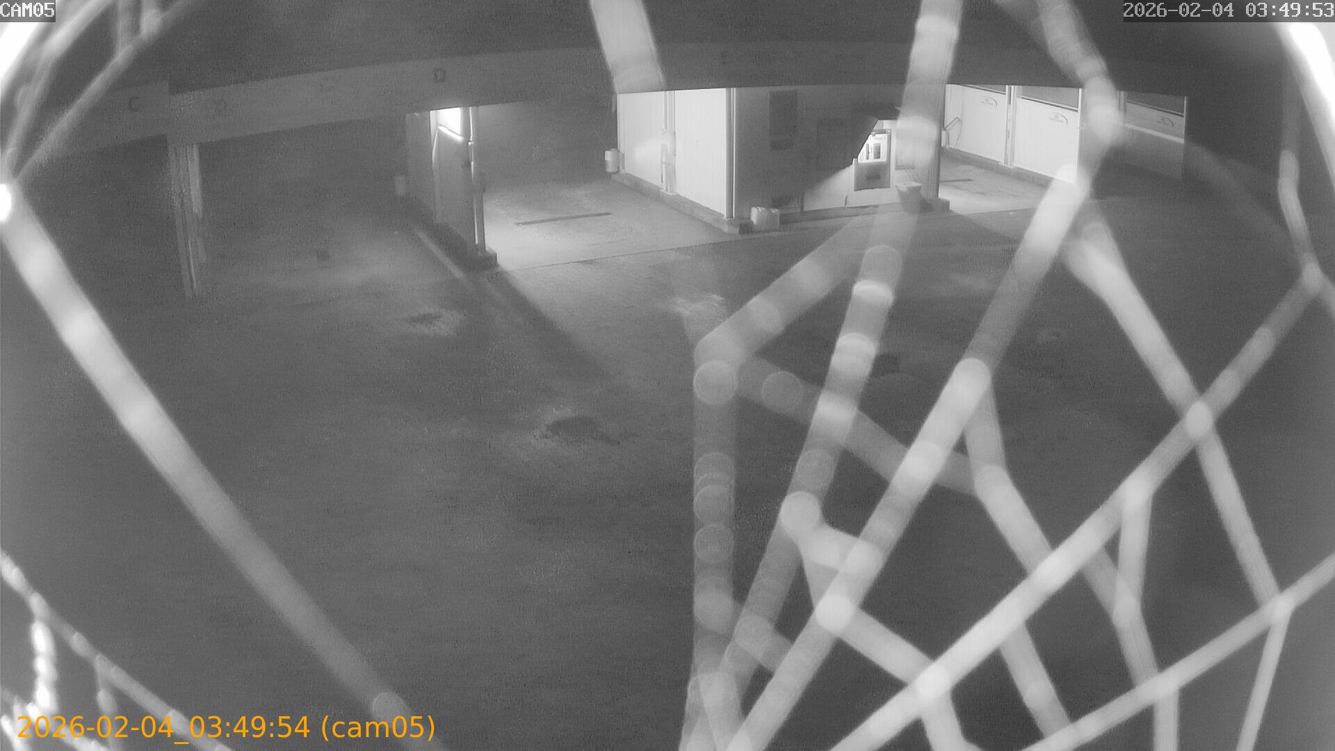 thumbnail_20260204034954