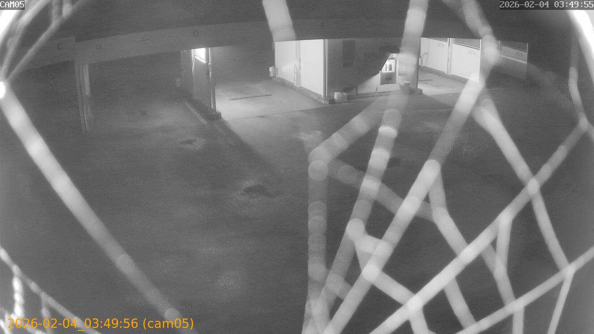 thumbnail_20260204034956