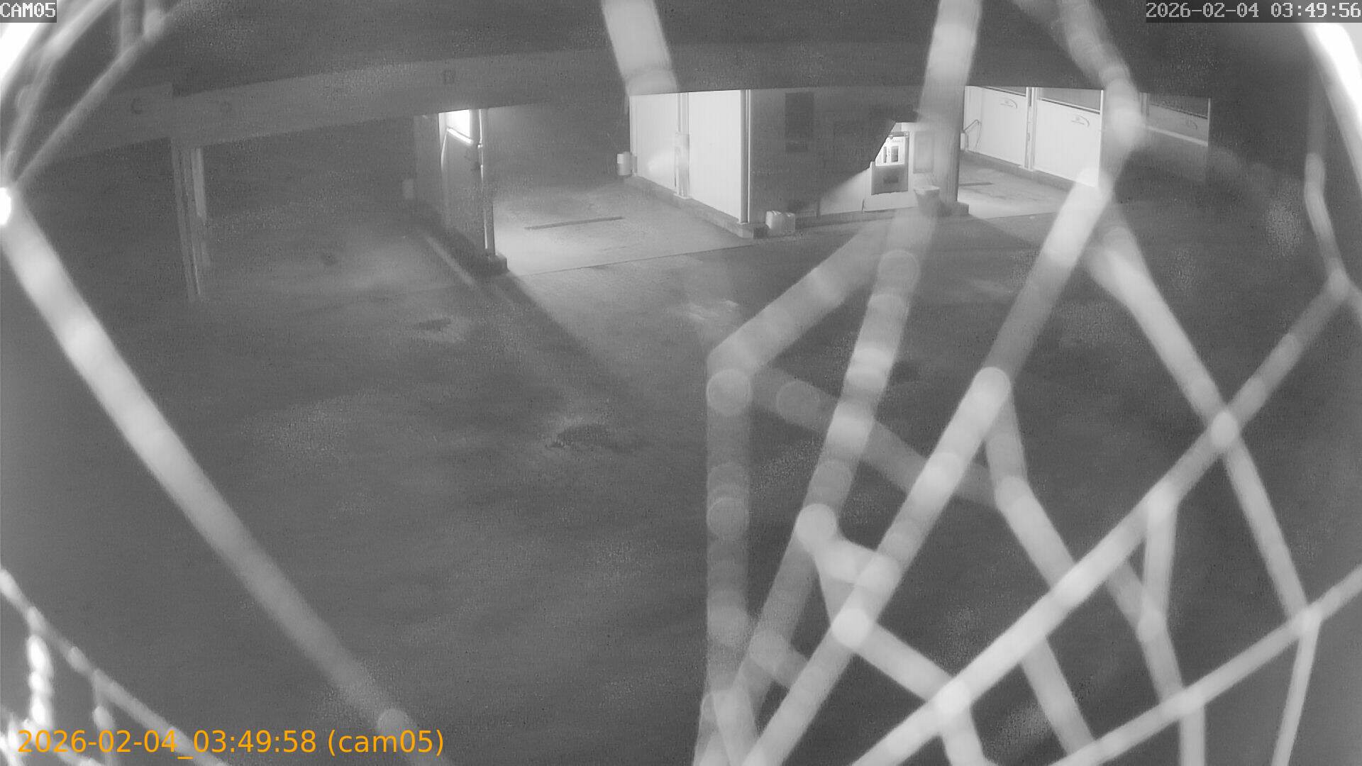 thumbnail_20260204034958