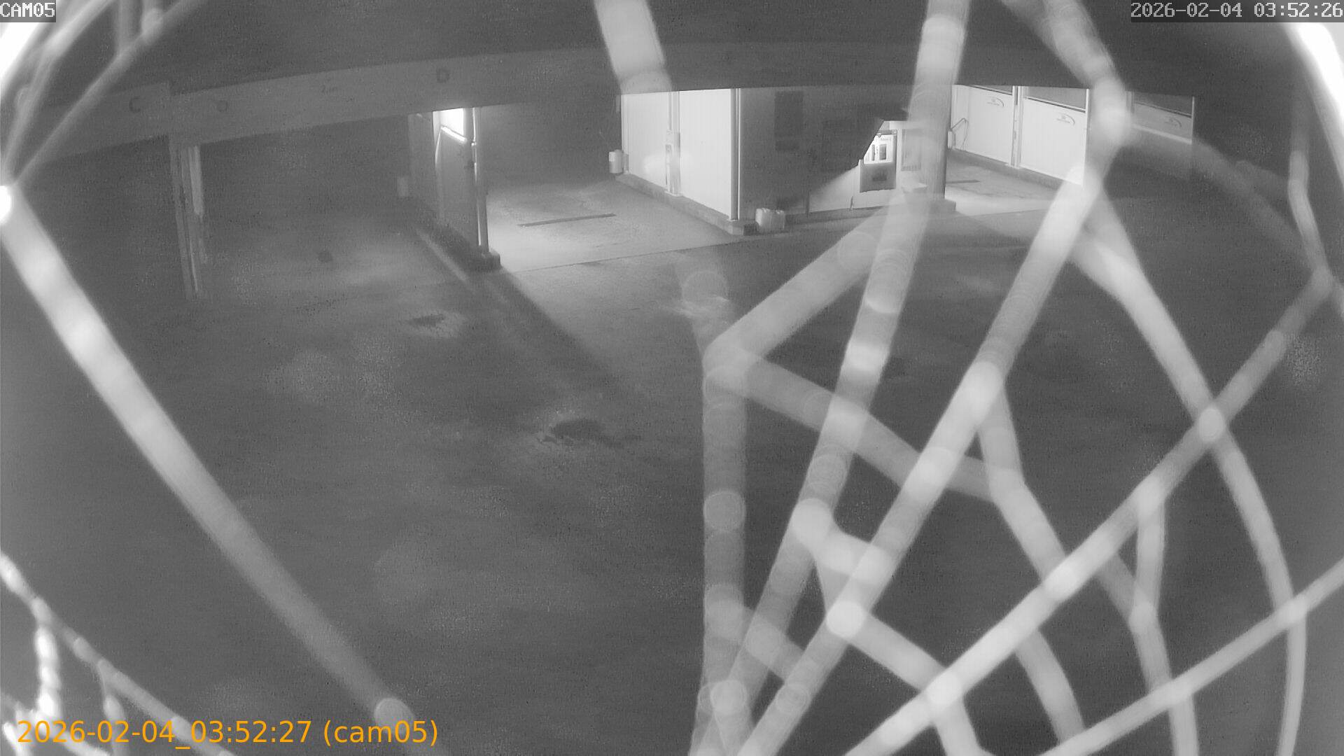 thumbnail_20260204035227