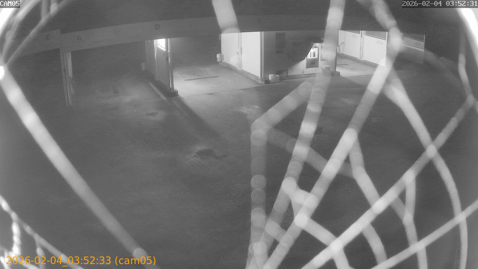 thumbnail_20260204035233