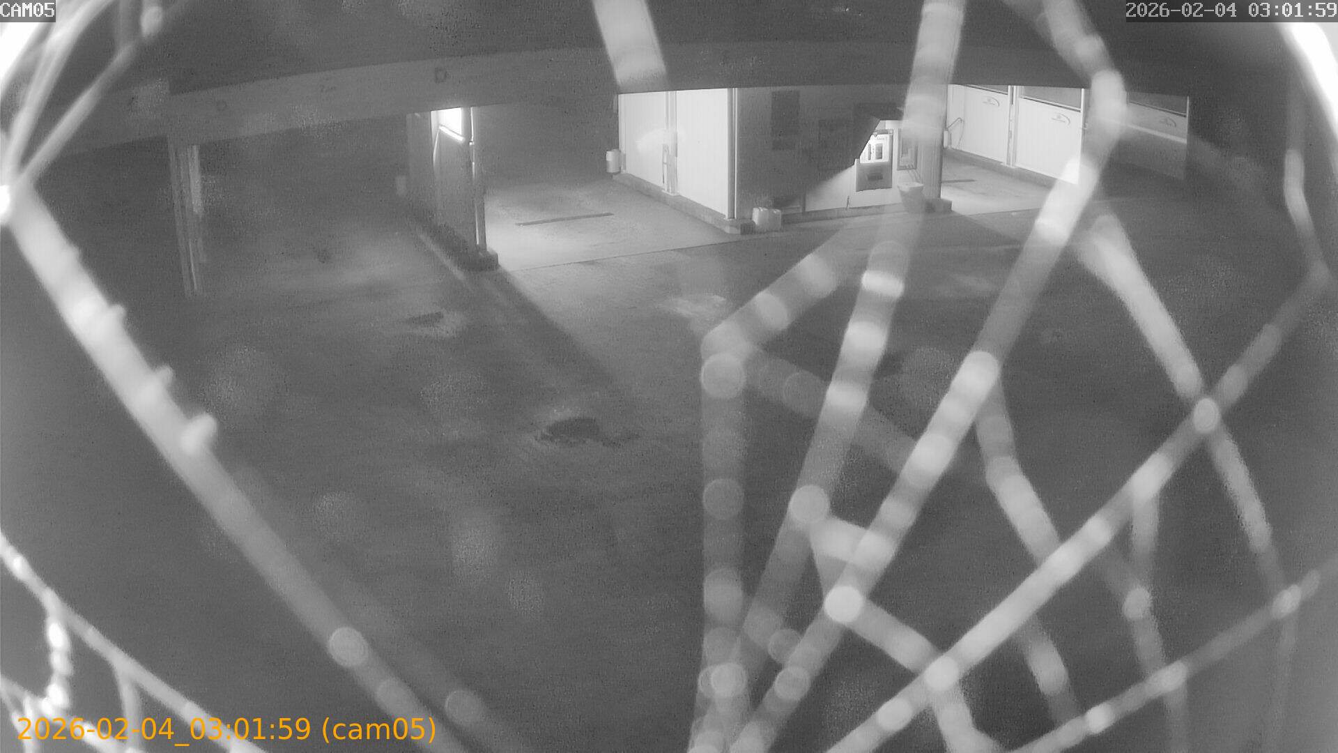 thumbnail_202602040301