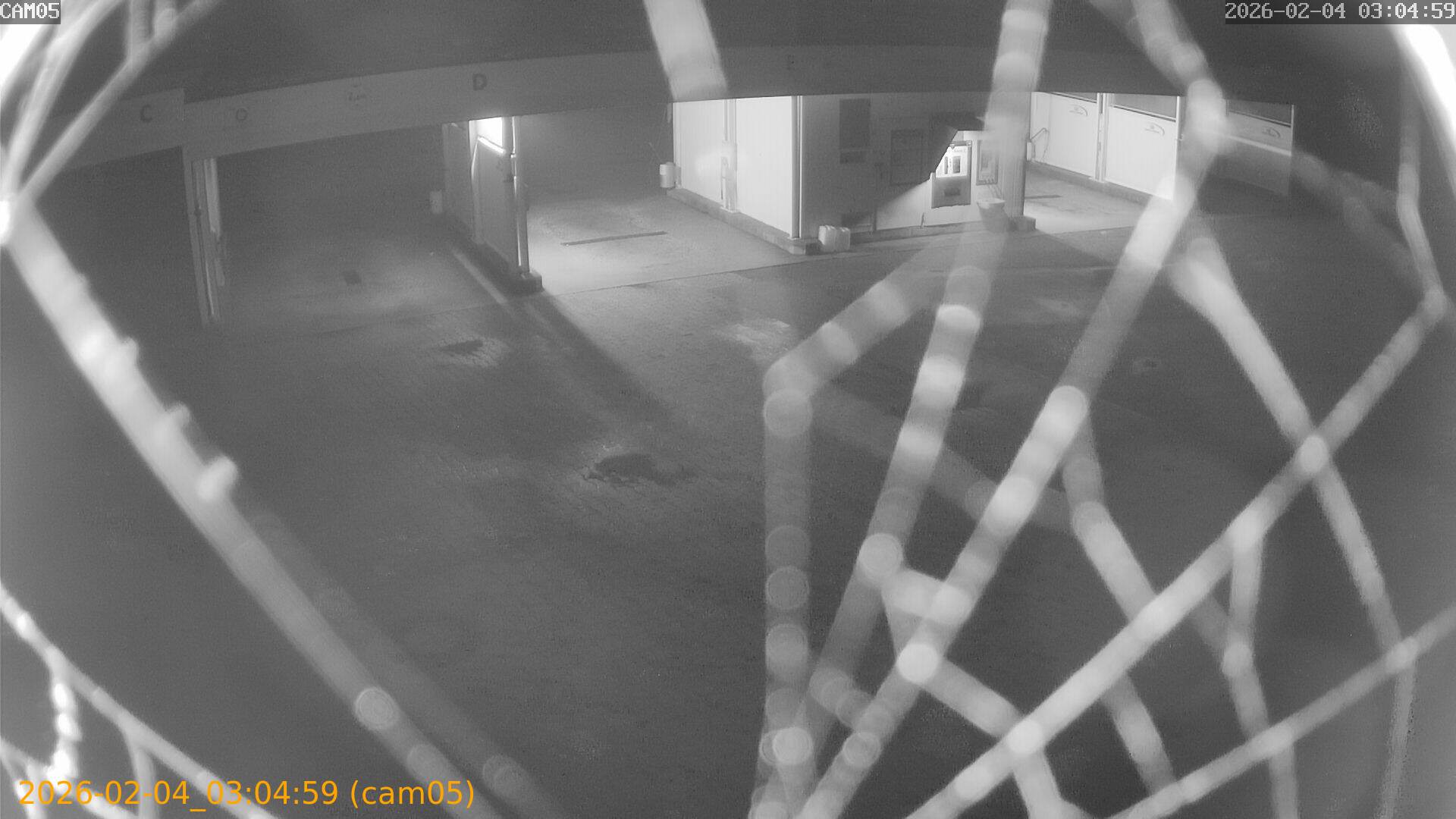 thumbnail_202602040304