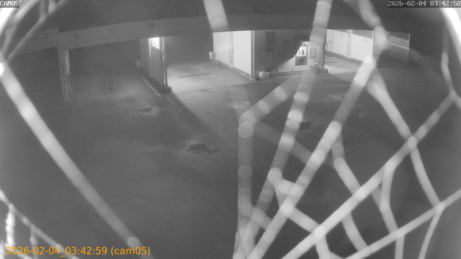 thumbnail_202602040342