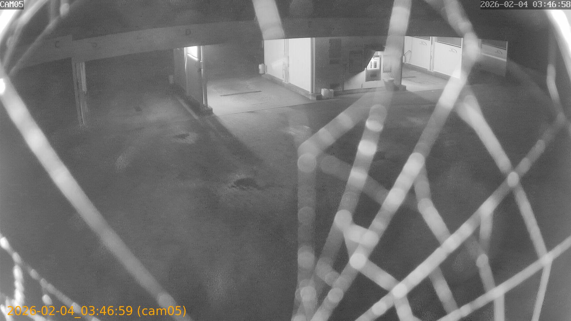 thumbnail_202602040346