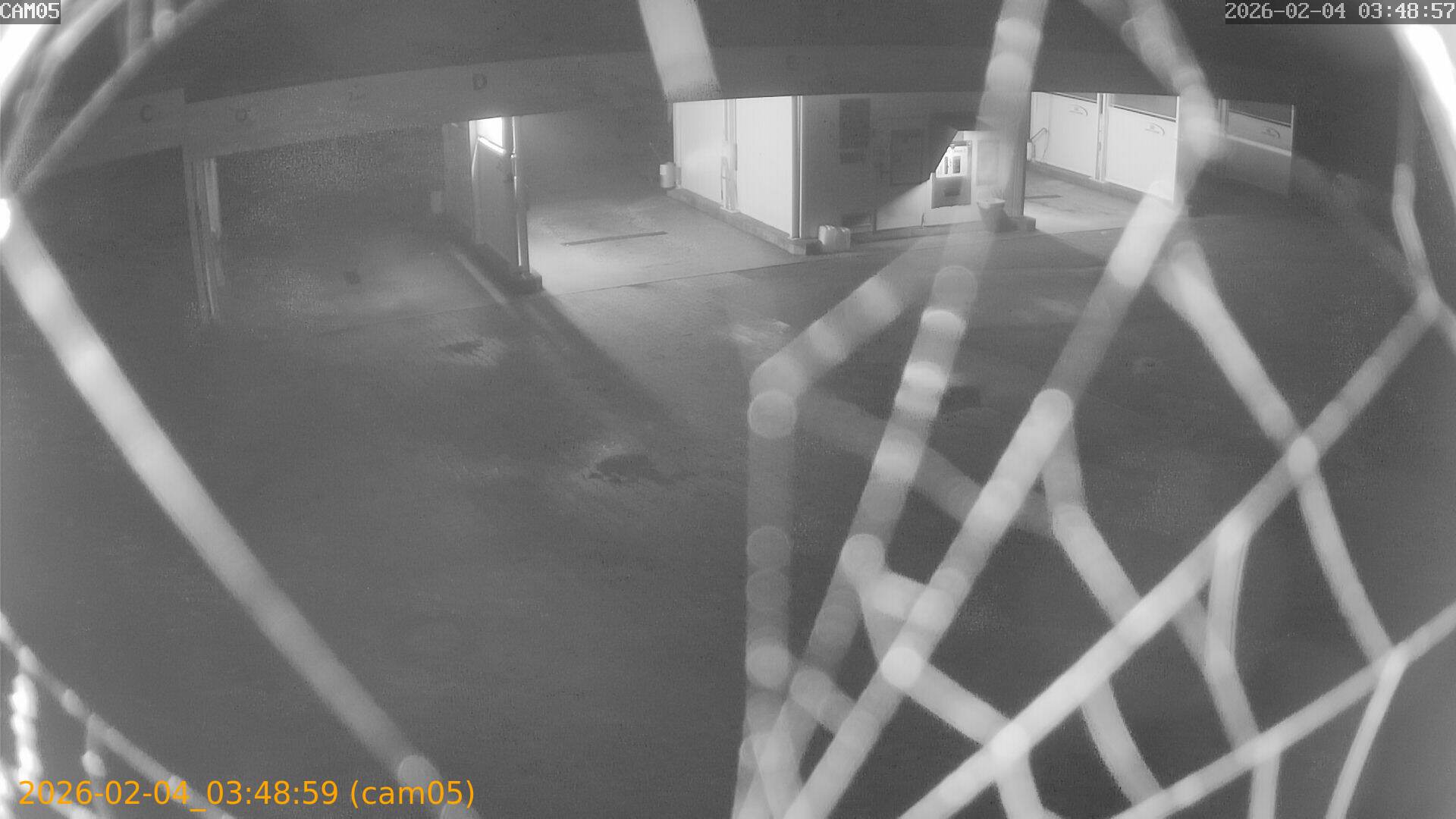 thumbnail_202602040348