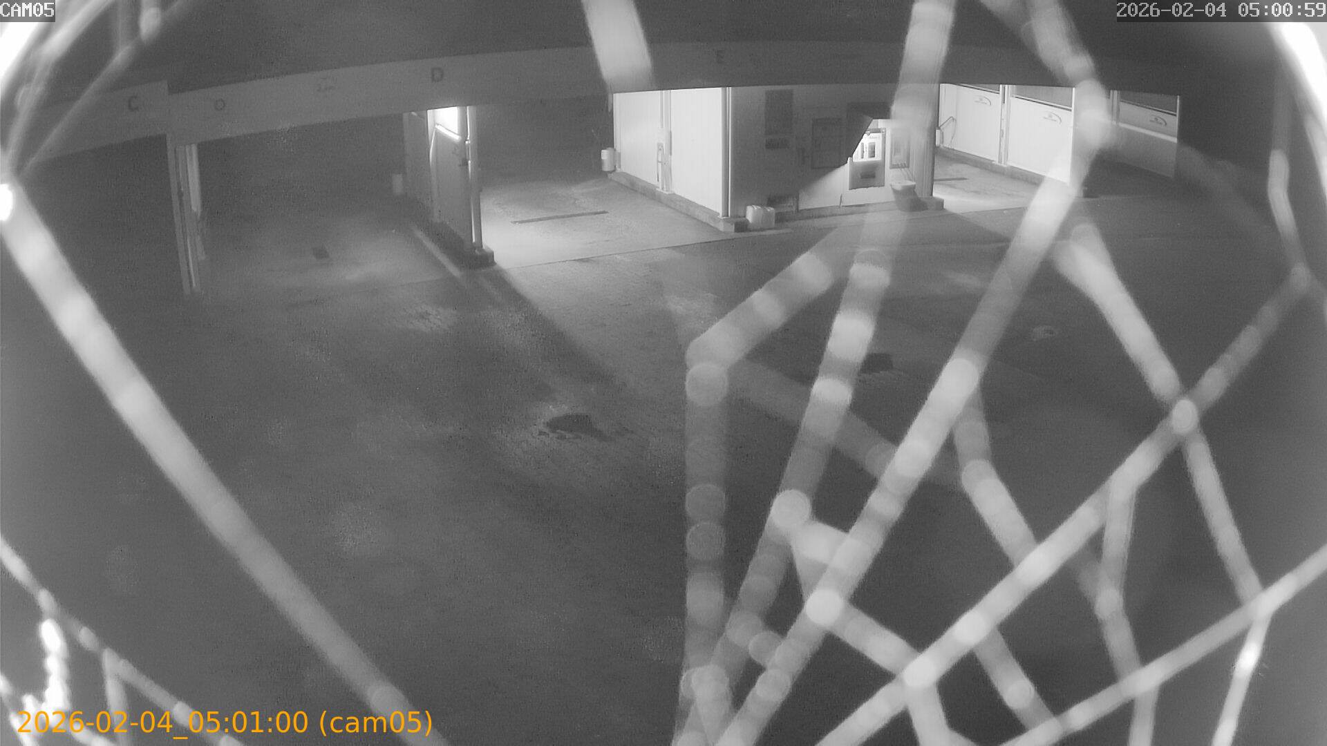 thumbnail_20260204050100