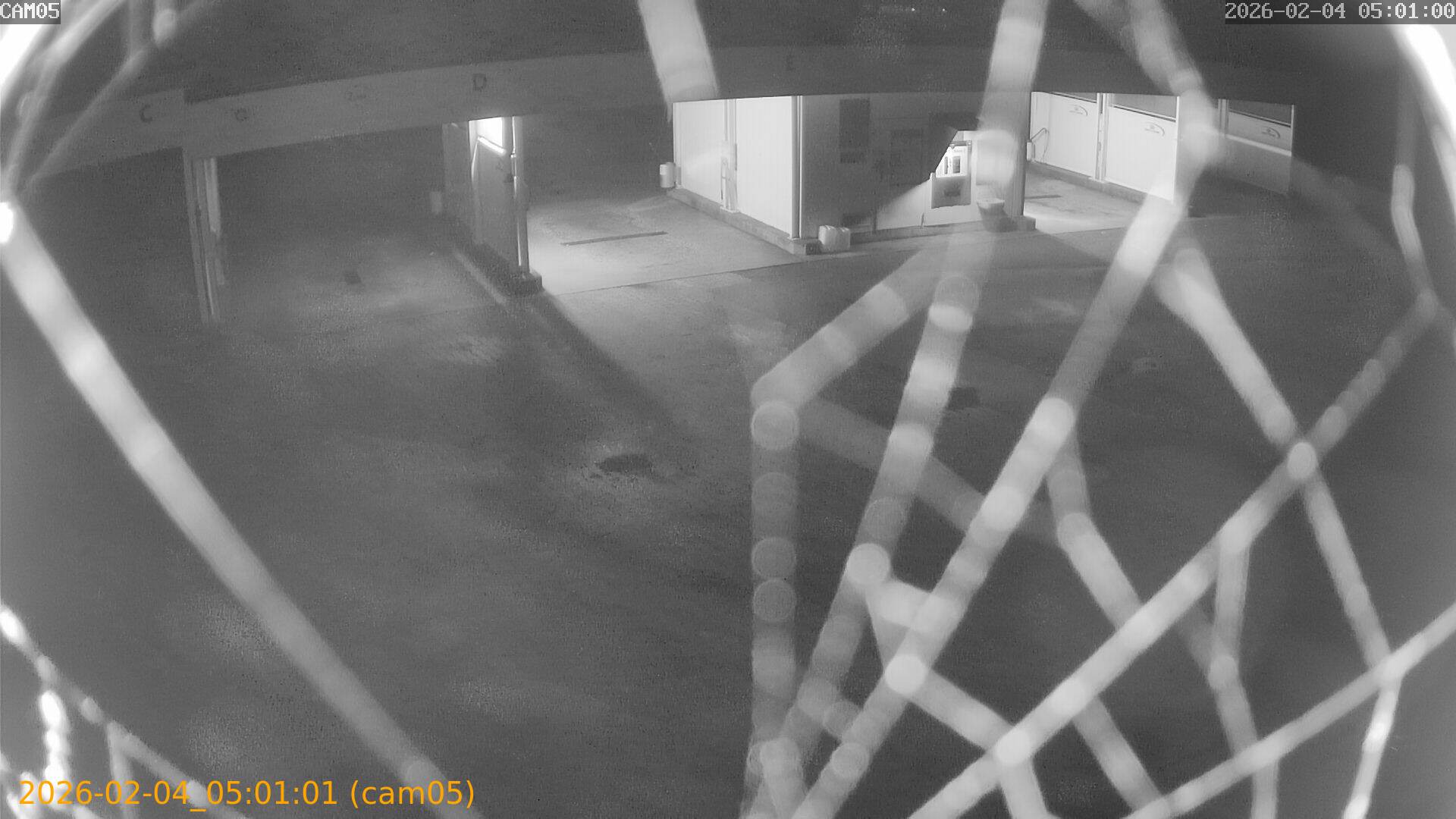 thumbnail_20260204050101