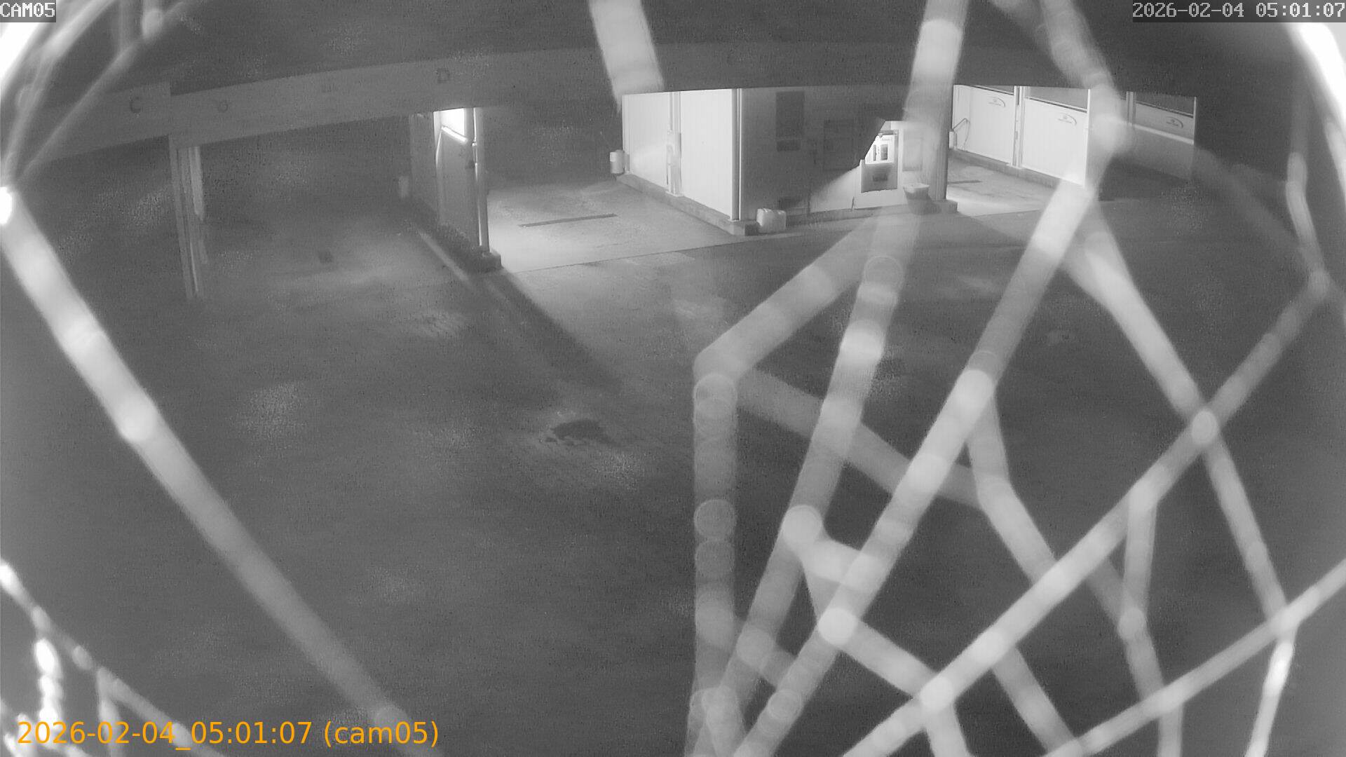 thumbnail_20260204050107