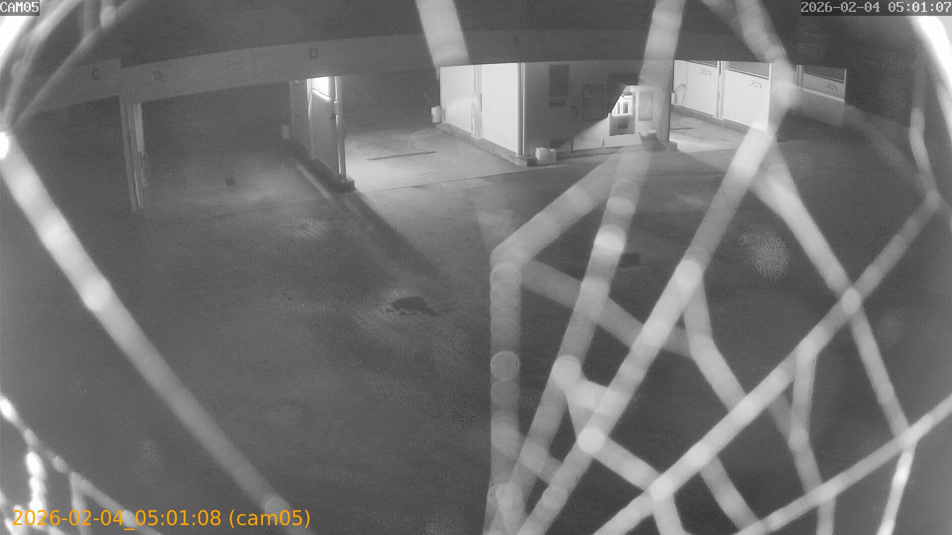 thumbnail_20260204050108