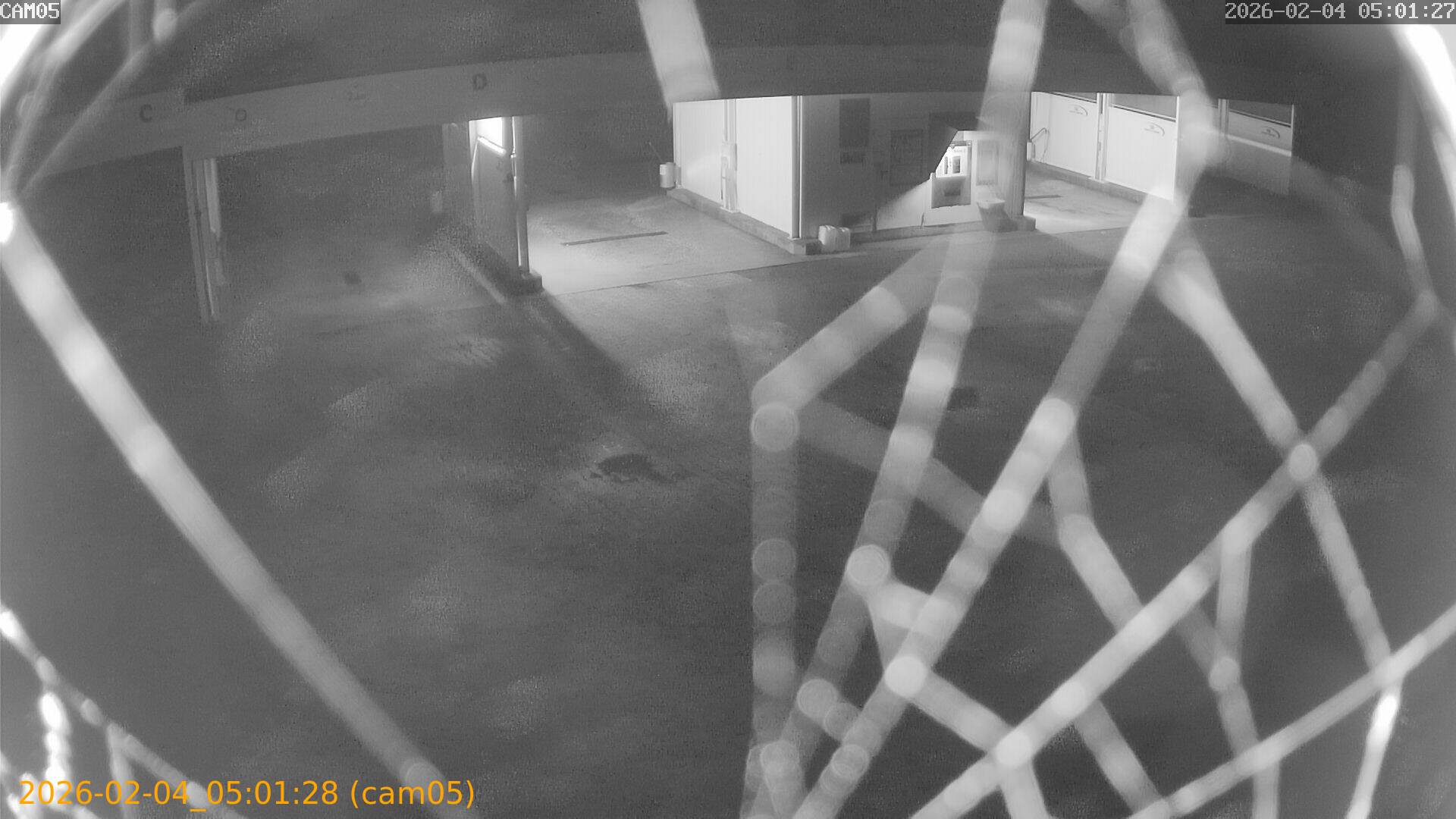 thumbnail_20260204050128