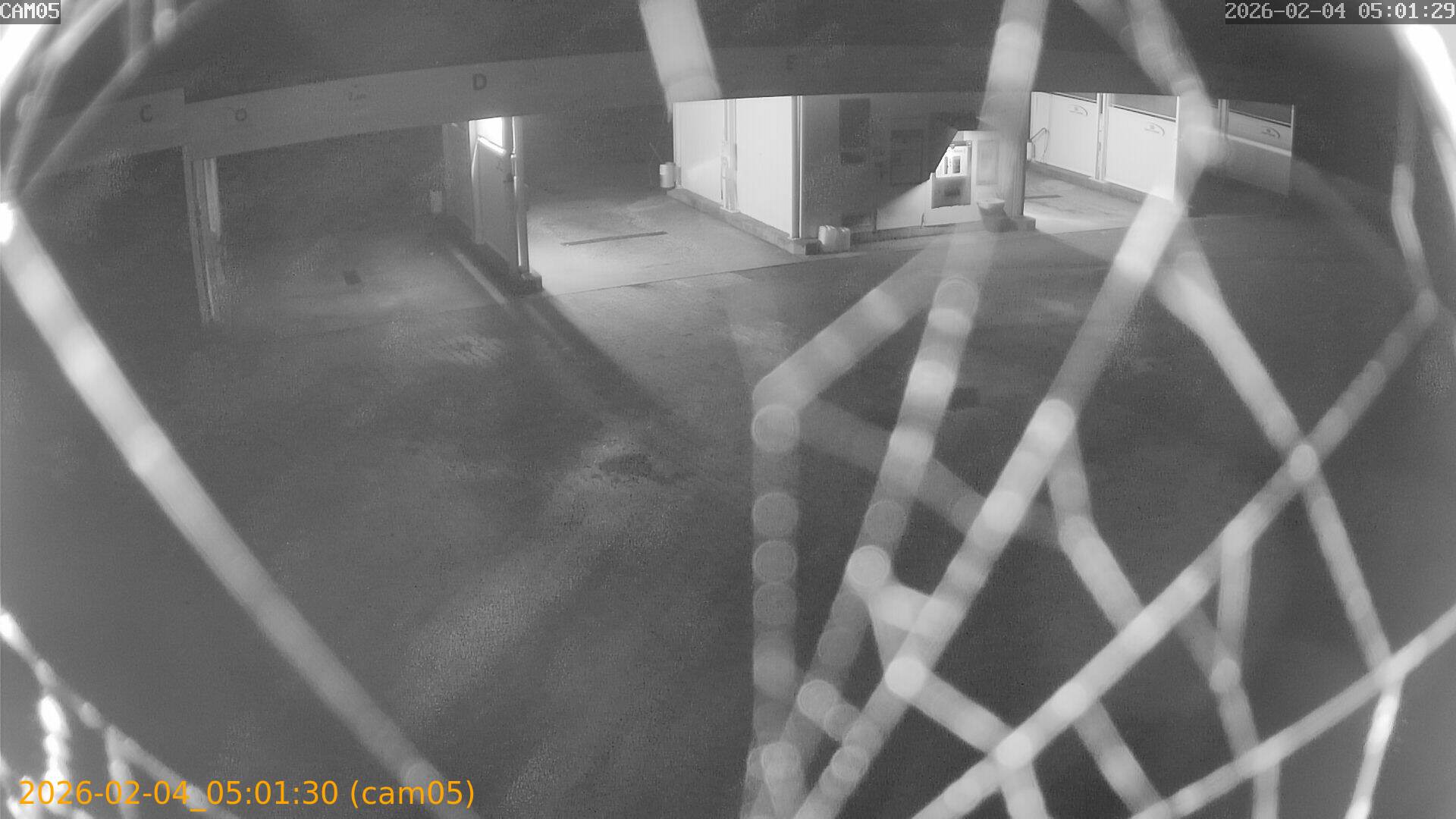 thumbnail_20260204050130