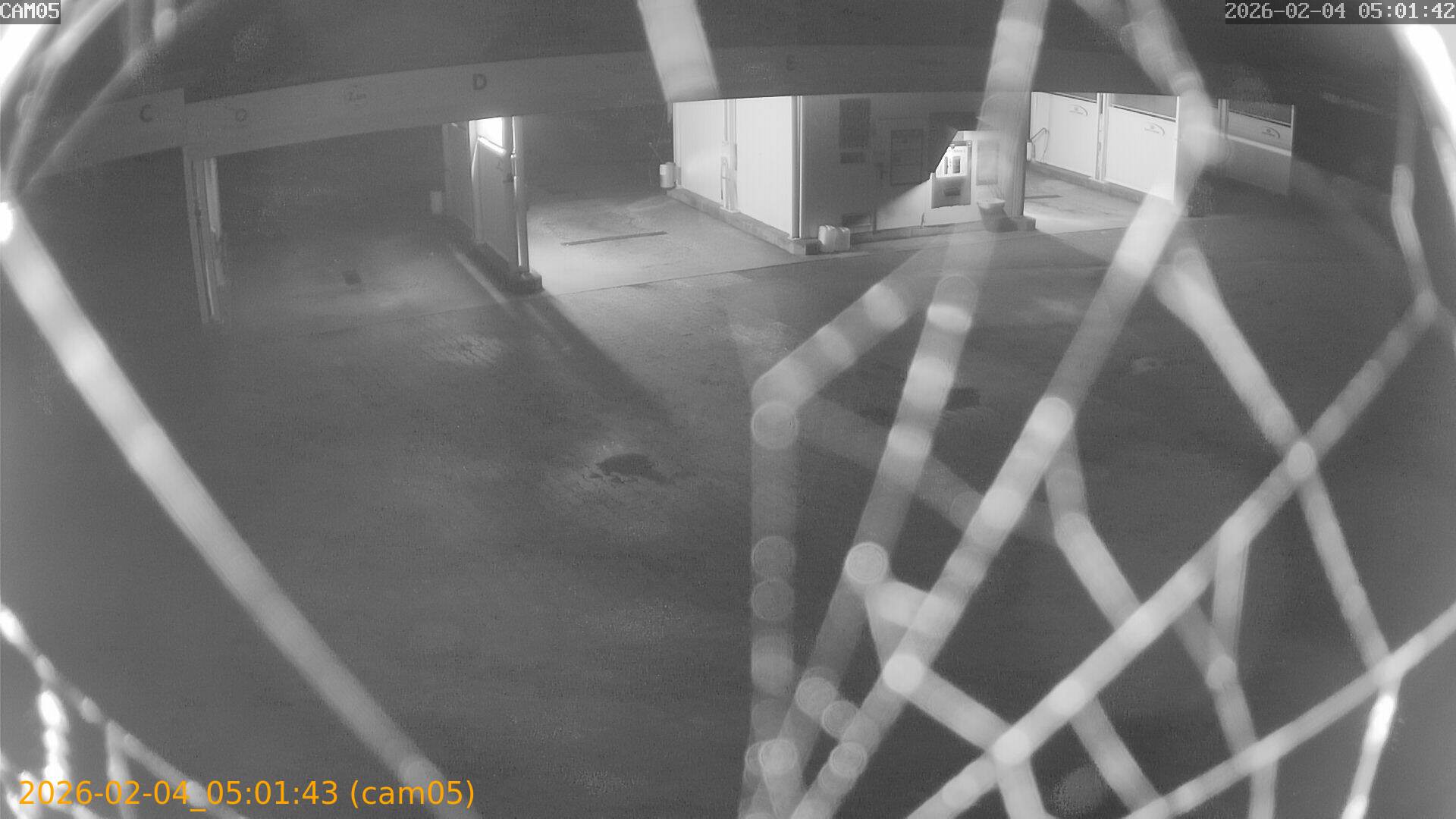 thumbnail_20260204050143