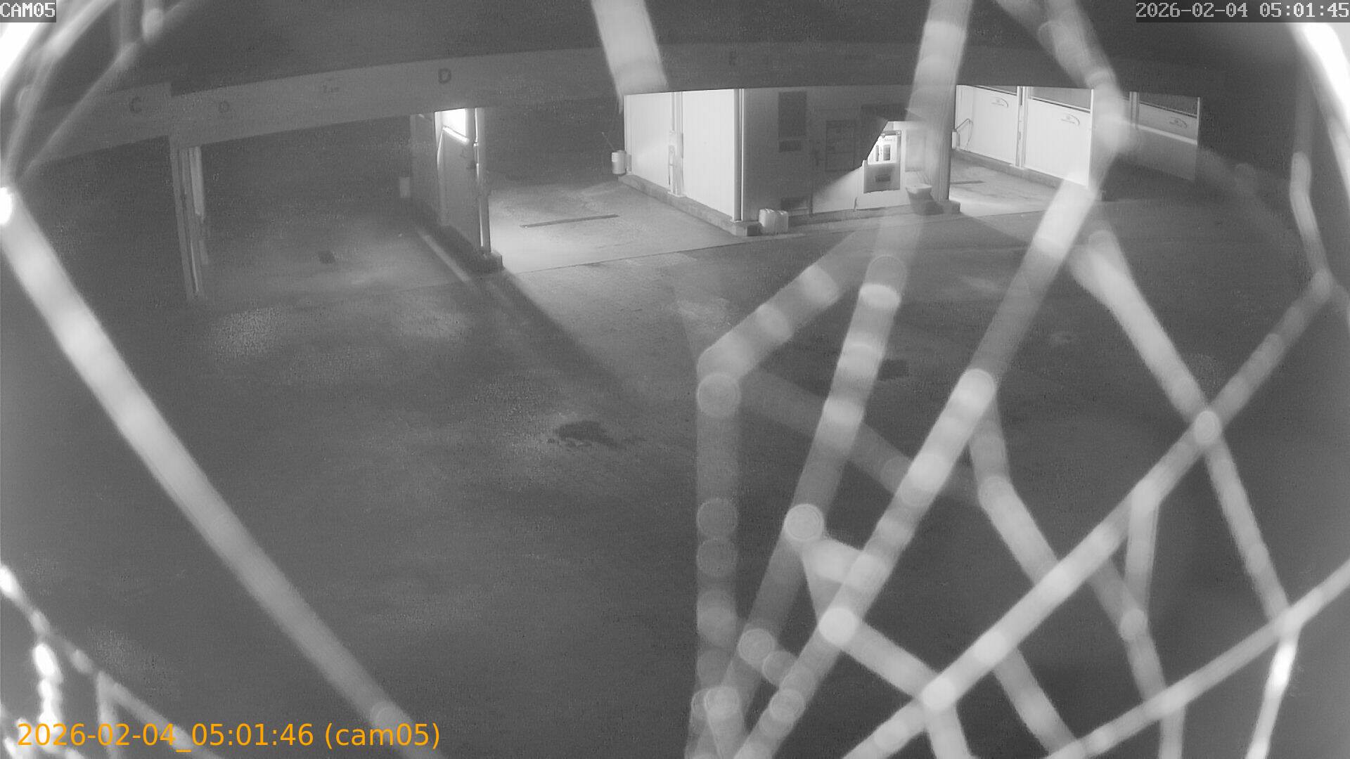 thumbnail_20260204050146