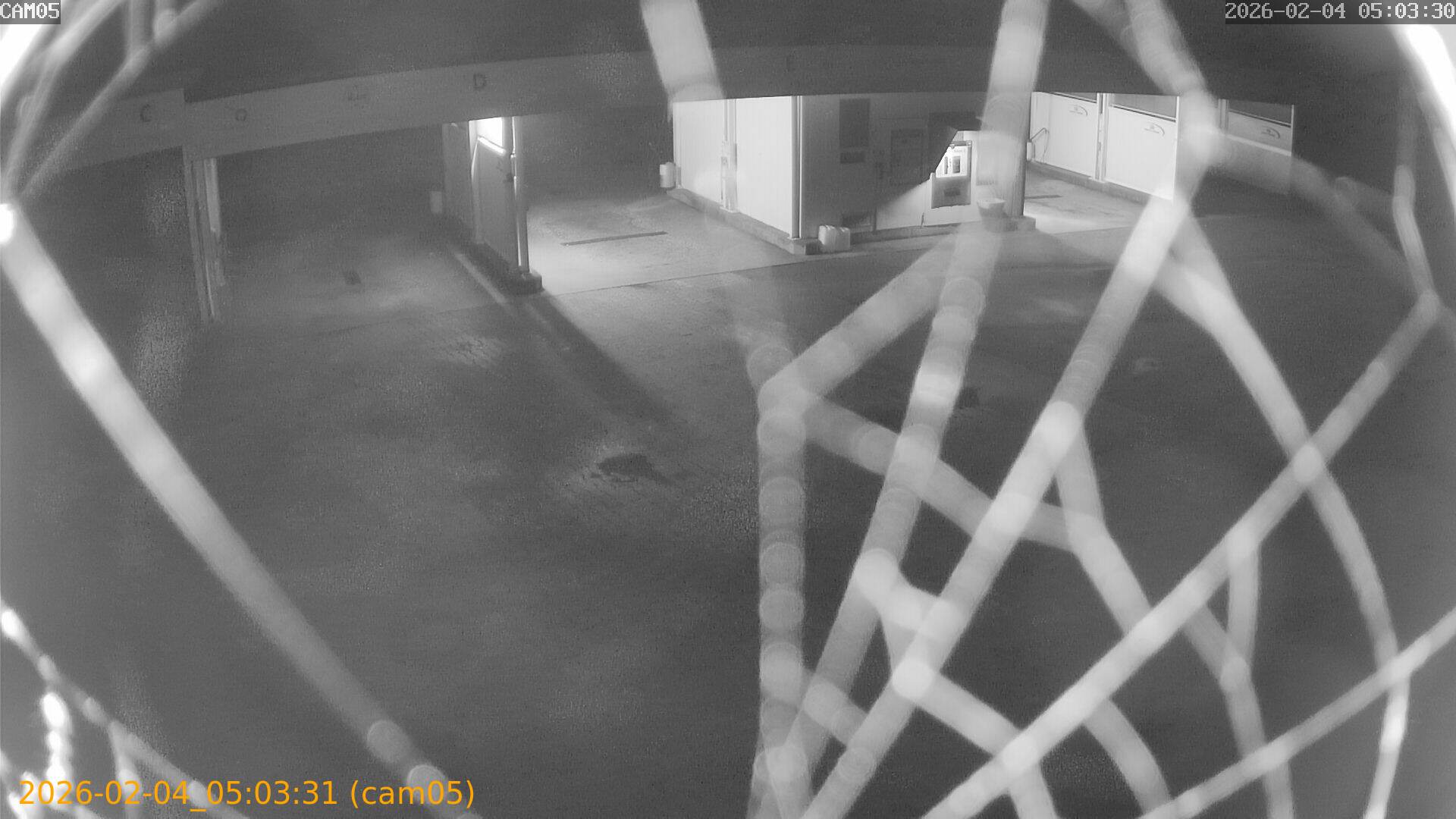 thumbnail_20260204050331