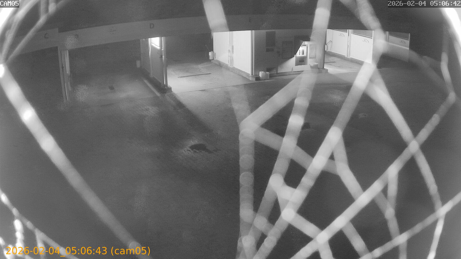 thumbnail_20260204050643