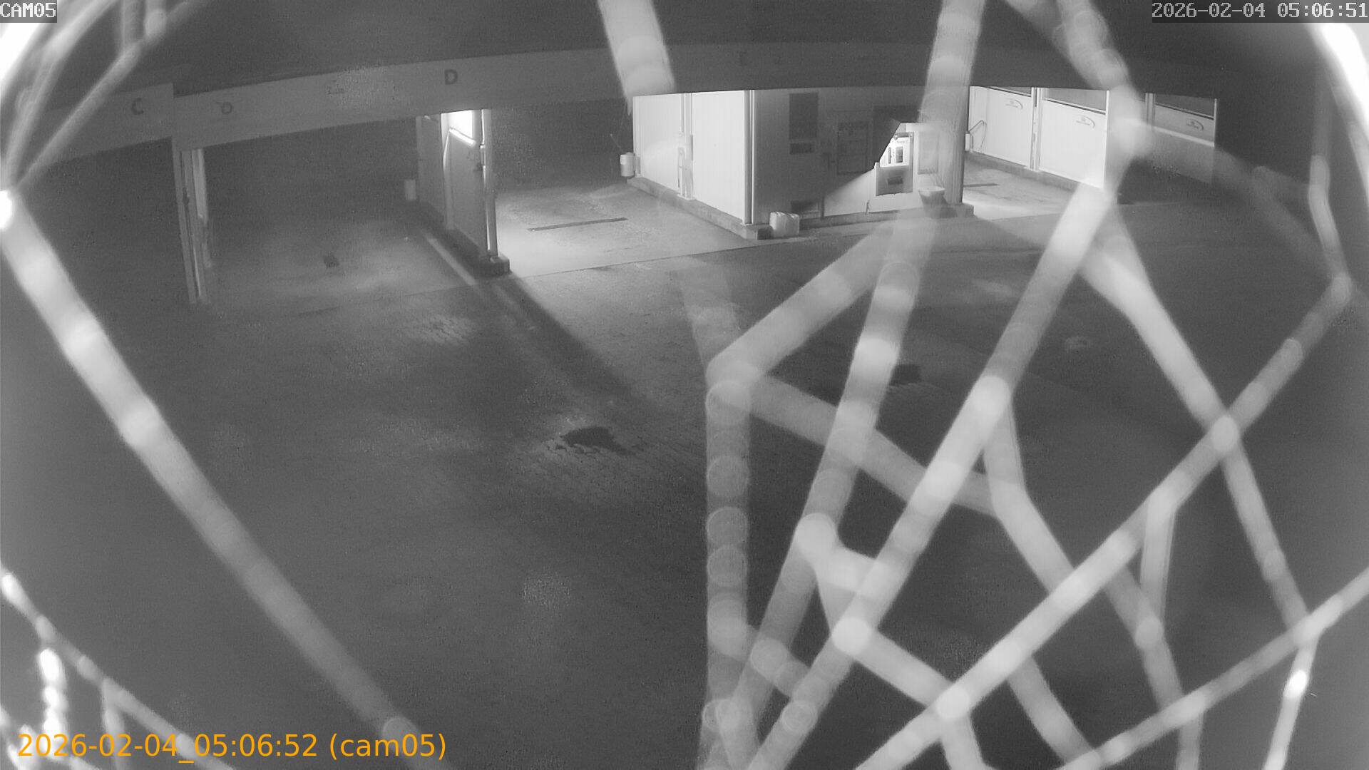 thumbnail_20260204050652