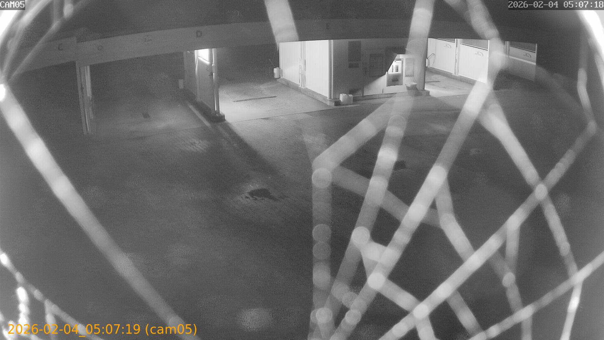 thumbnail_20260204050719