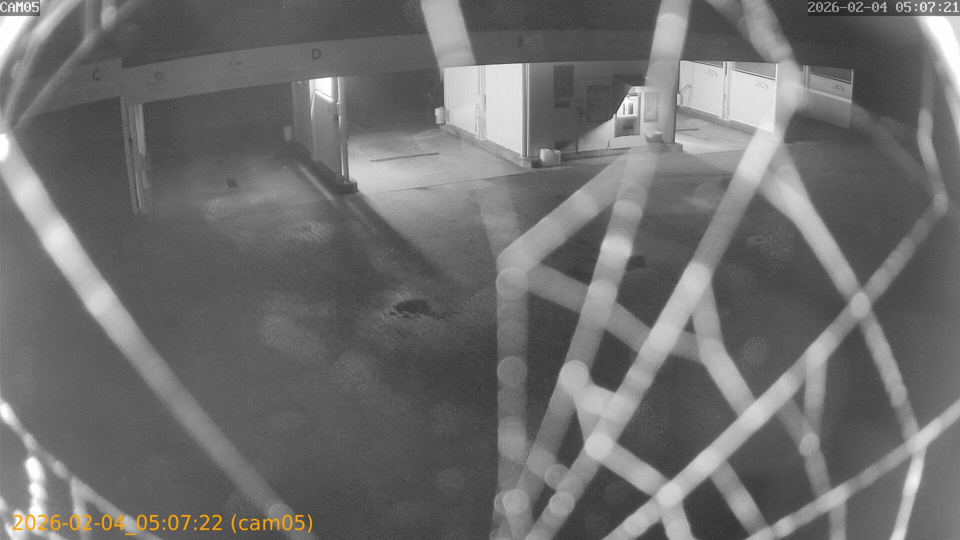 thumbnail_20260204050722