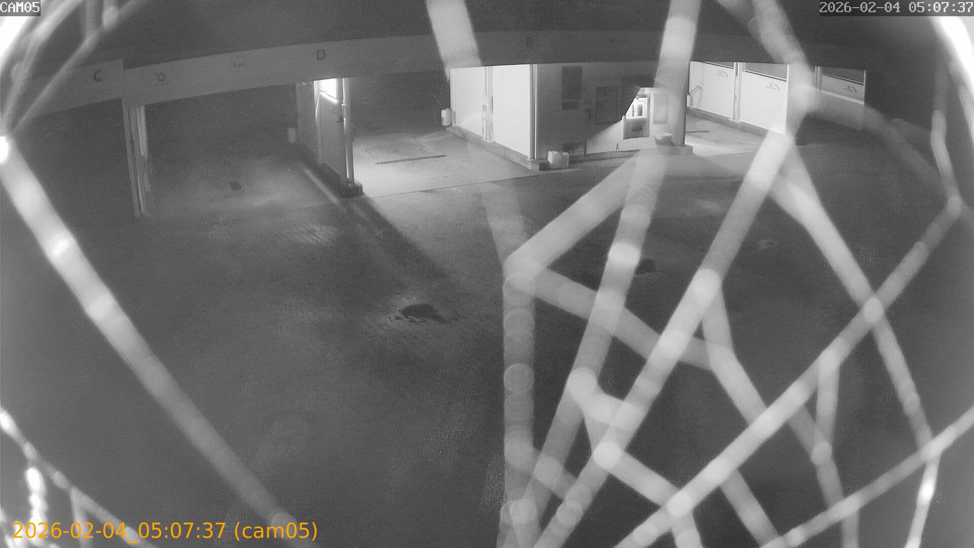 thumbnail_20260204050737