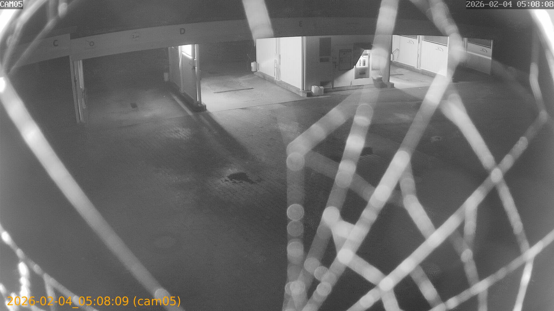 thumbnail_20260204050809