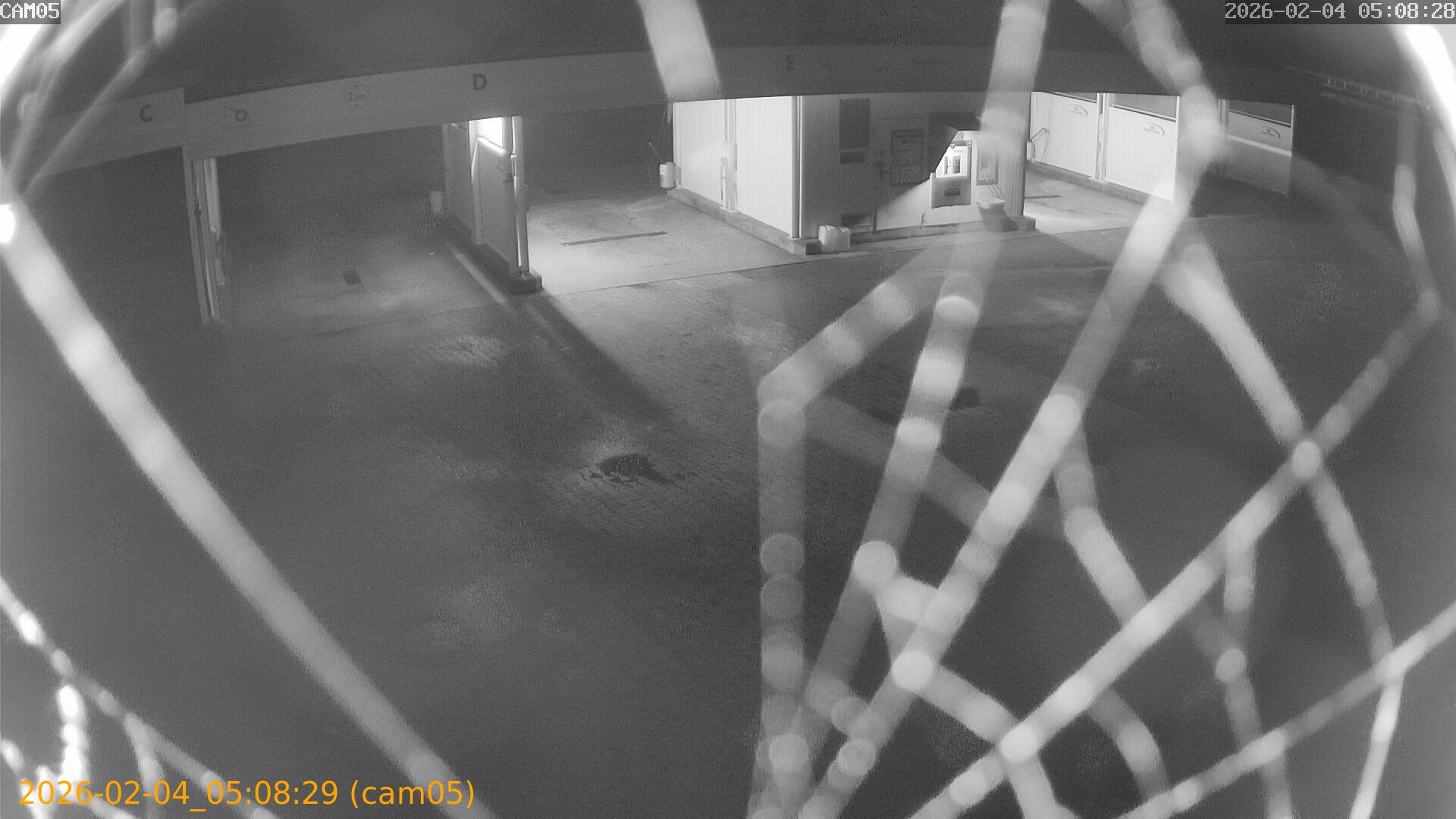 thumbnail_20260204050829