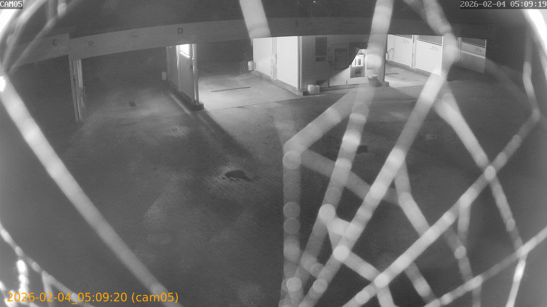 thumbnail_20260204050920