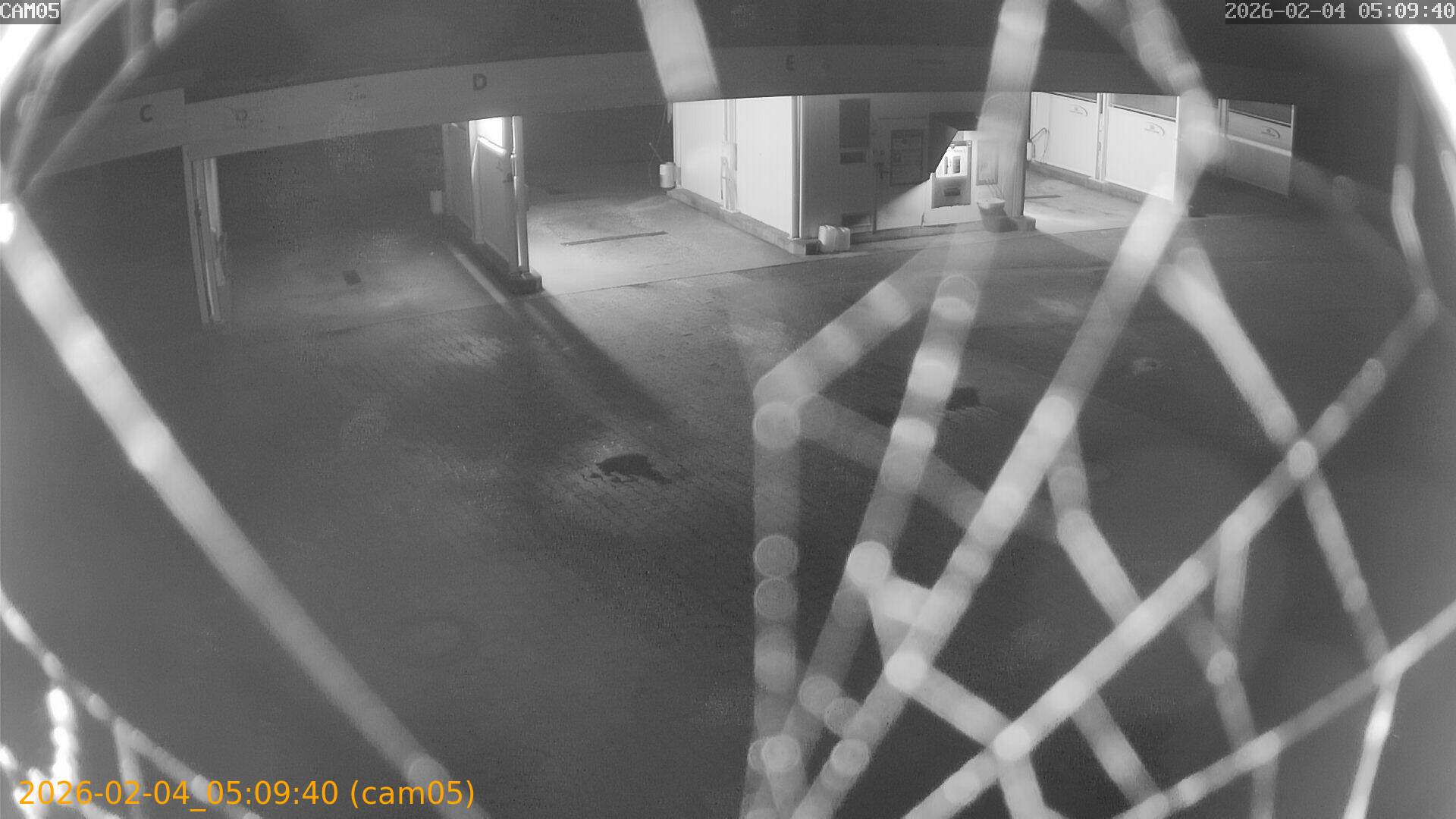 thumbnail_20260204050940