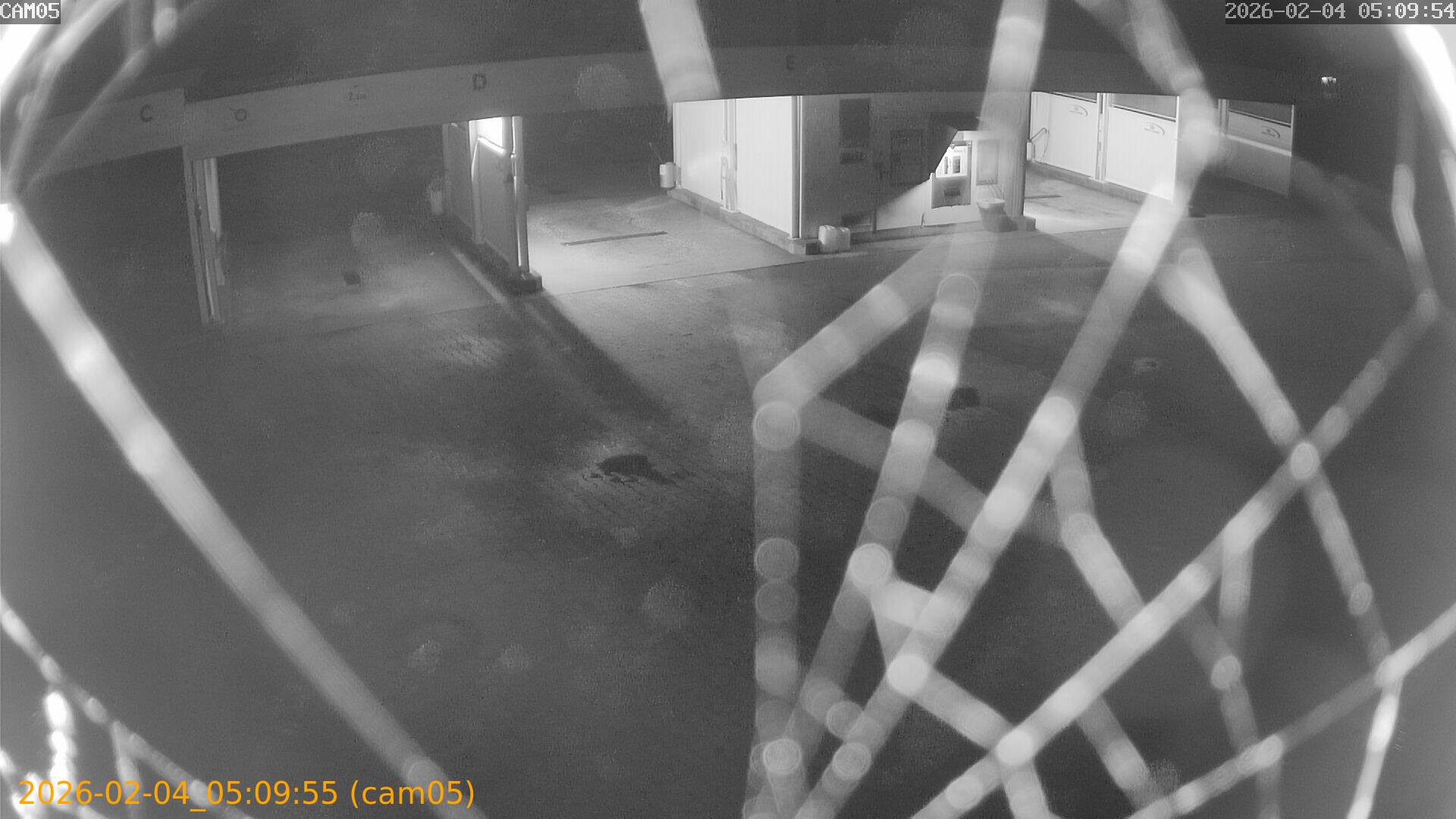 thumbnail_20260204050955