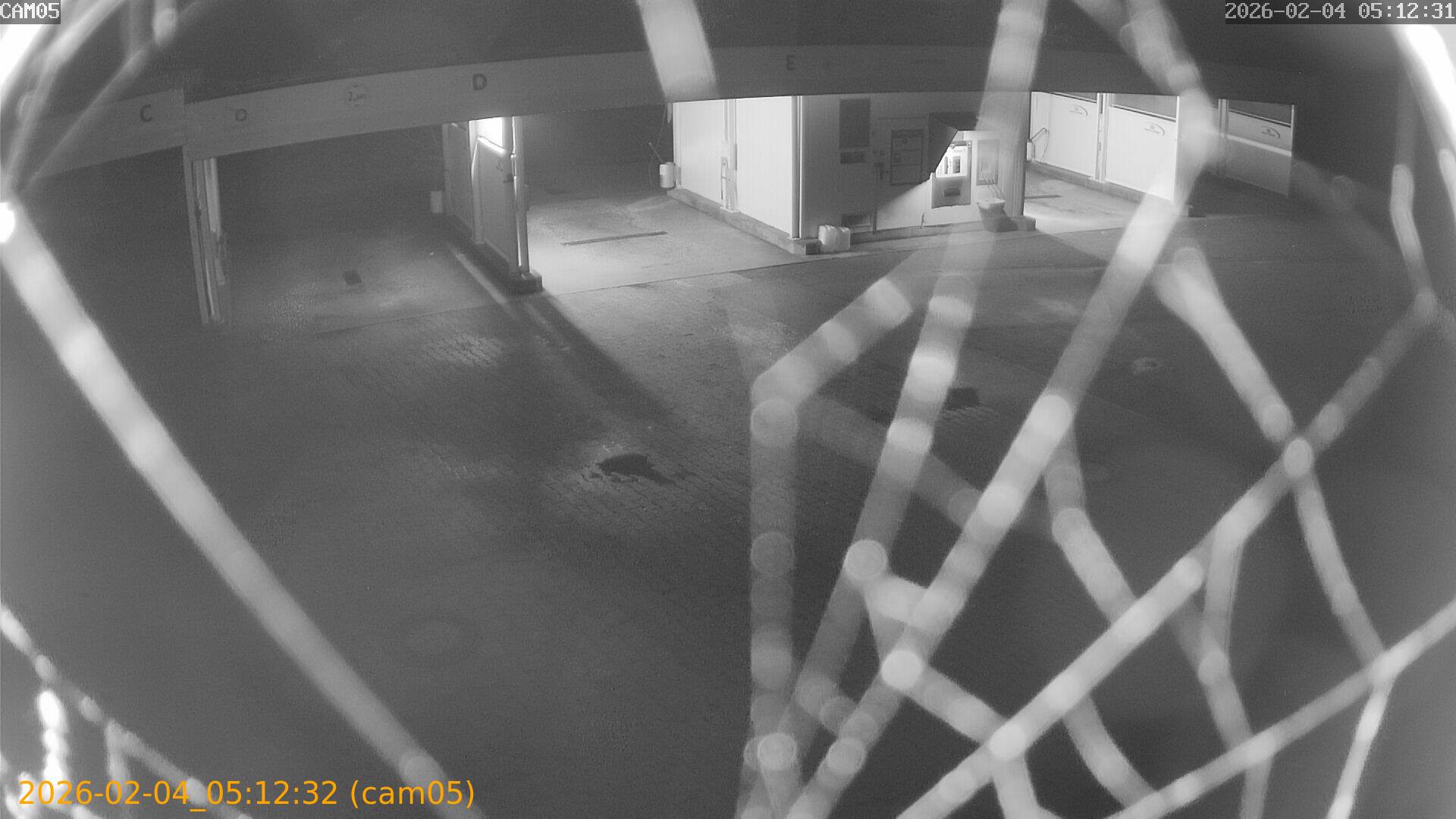 thumbnail_20260204051232