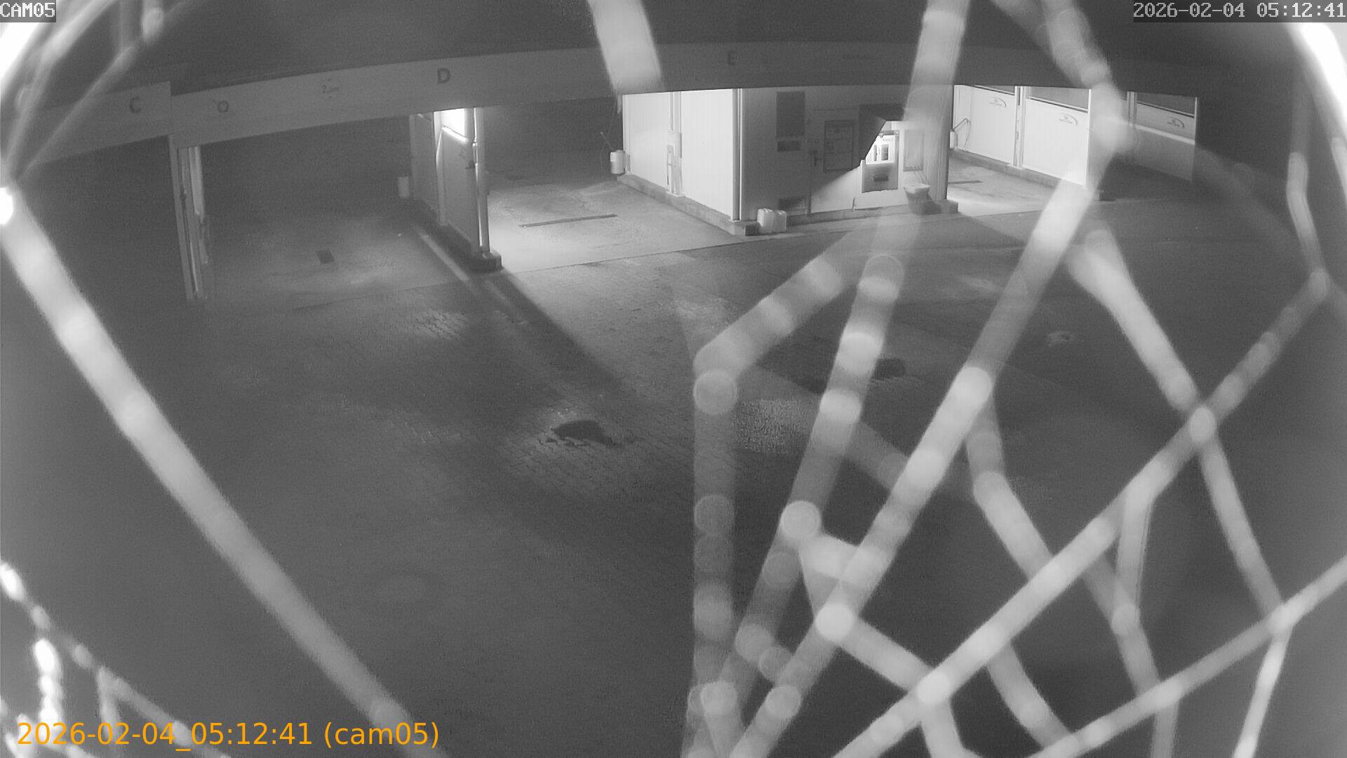 thumbnail_20260204051241