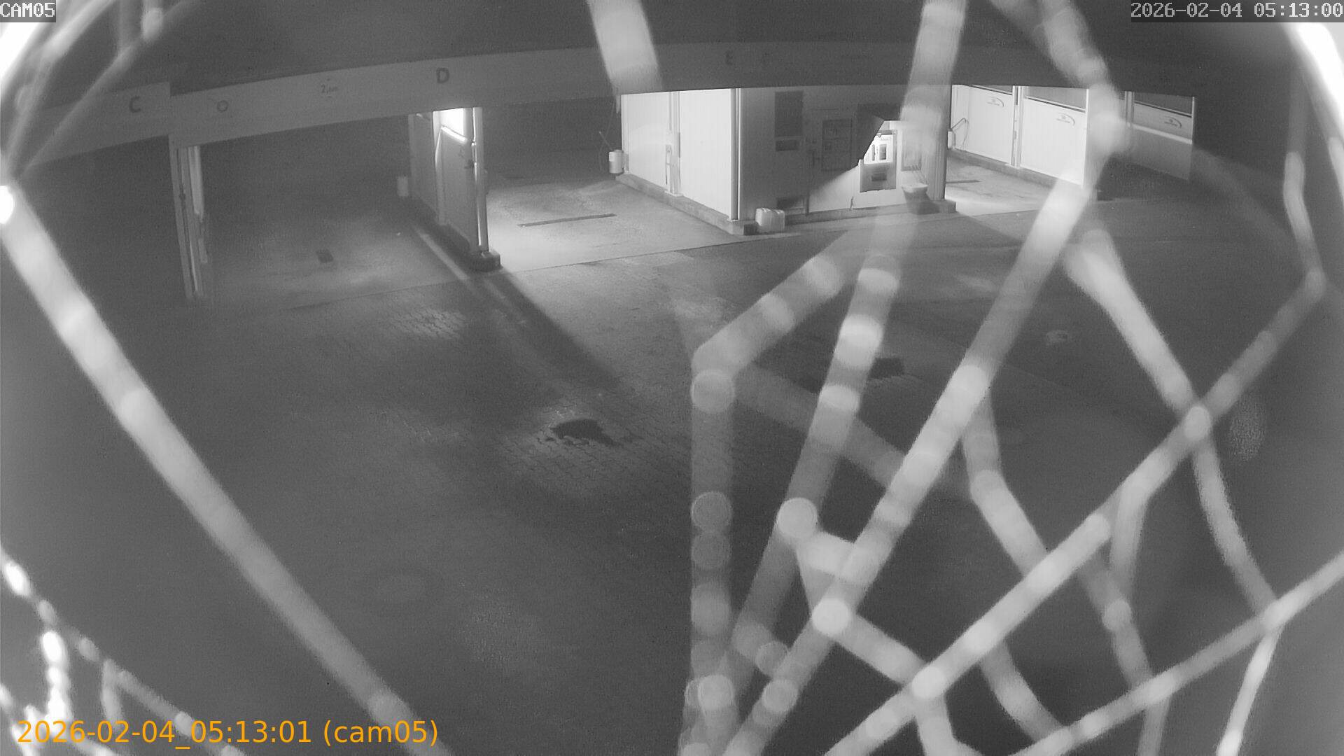 thumbnail_20260204051301